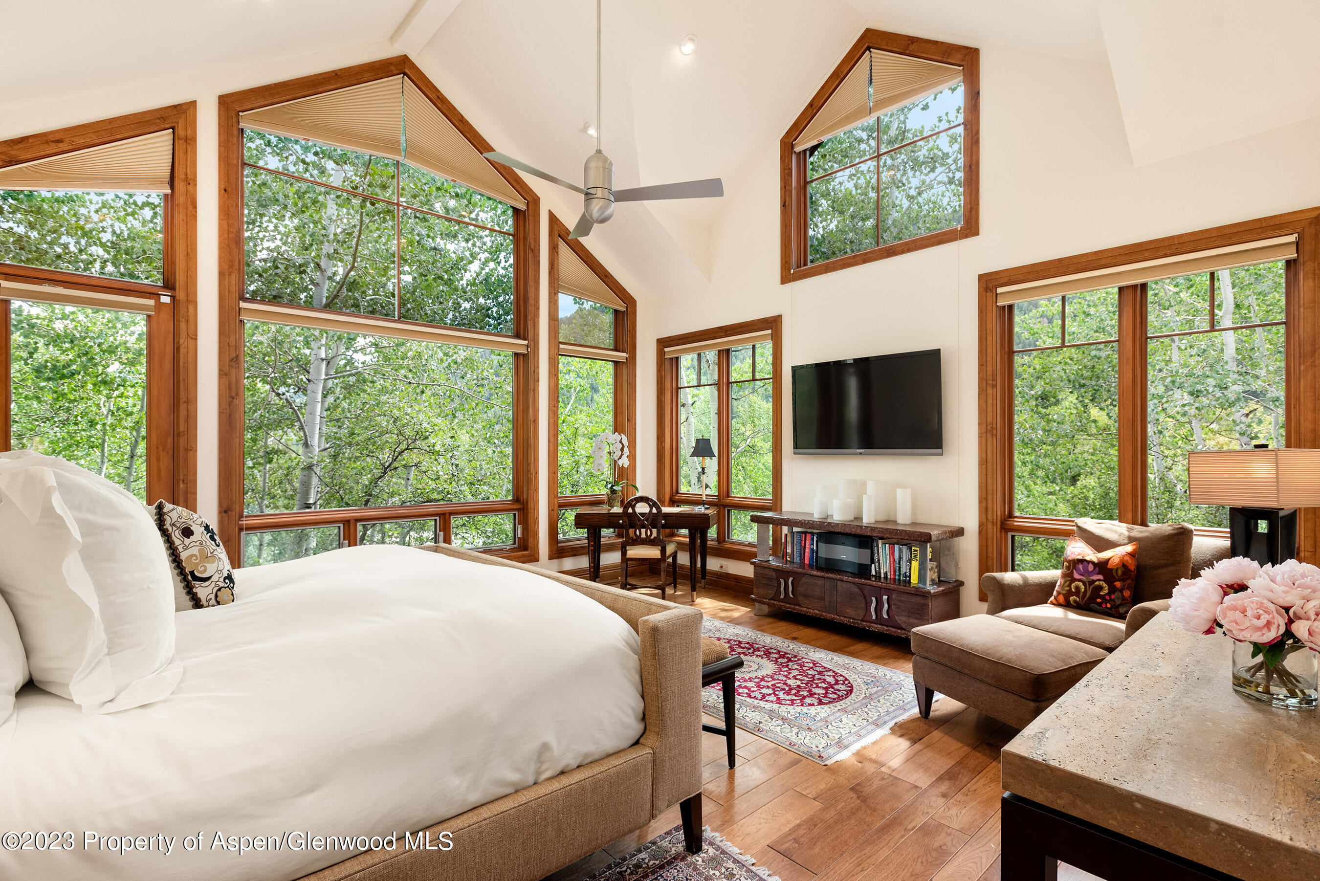 222 Roaring Fork Drive Aspen CO 81611