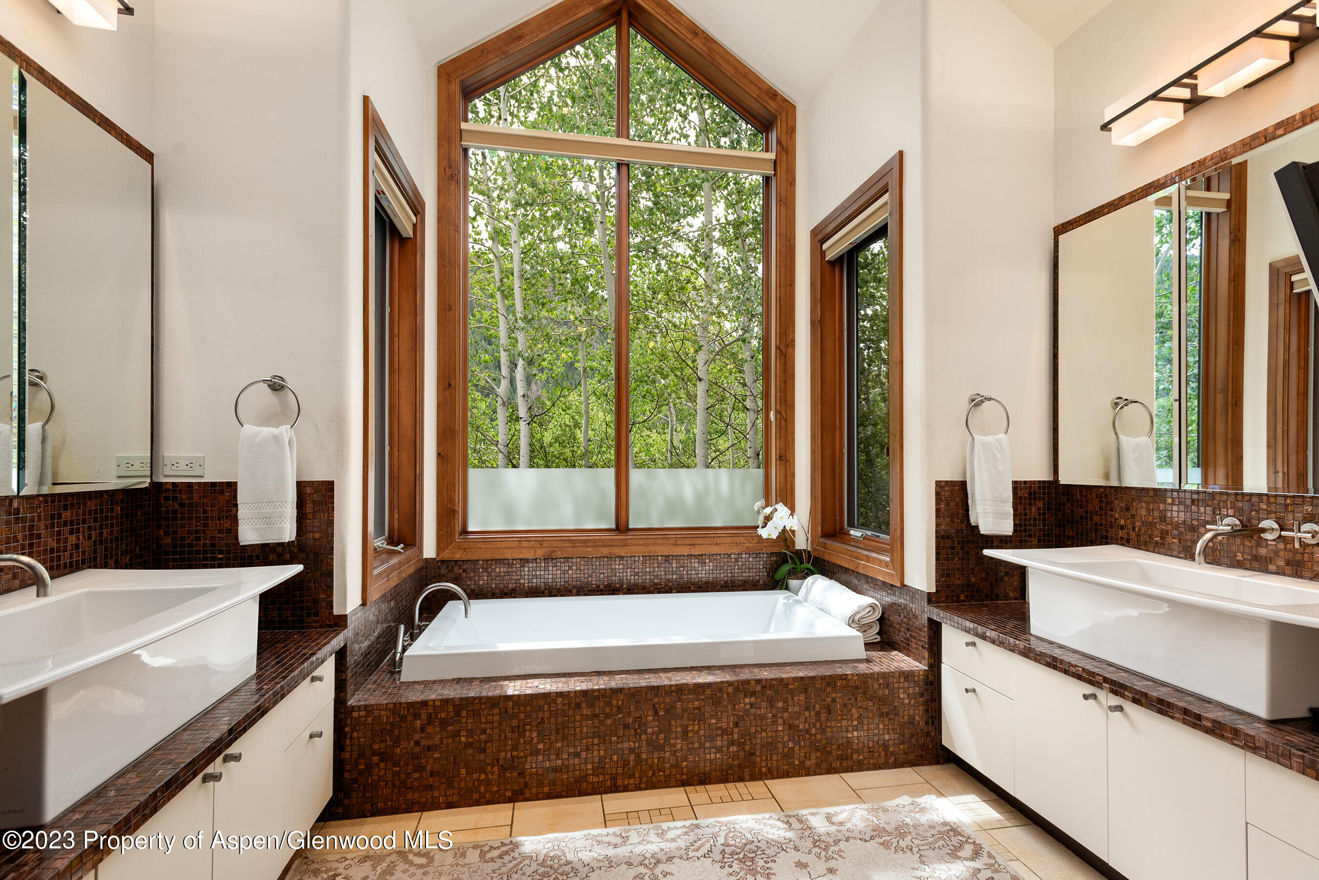 222 Roaring Fork Drive Aspen CO 81611