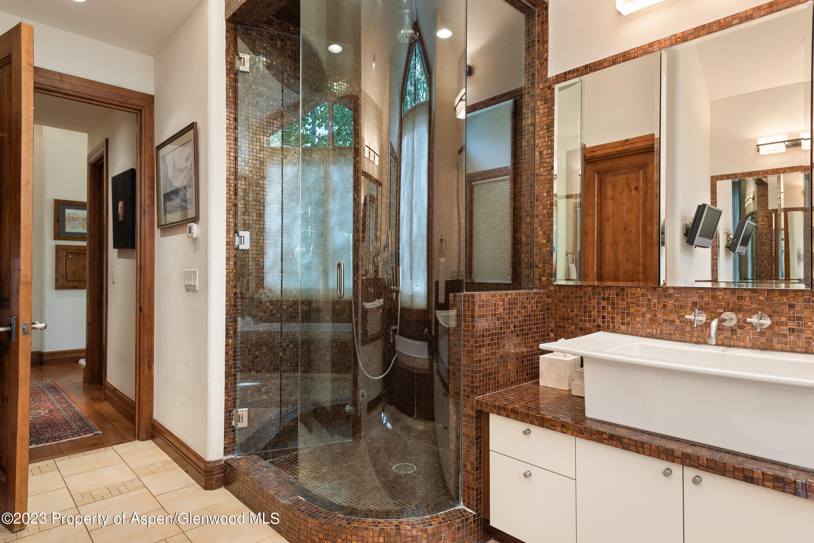 222 Roaring Fork Drive Aspen CO 81611