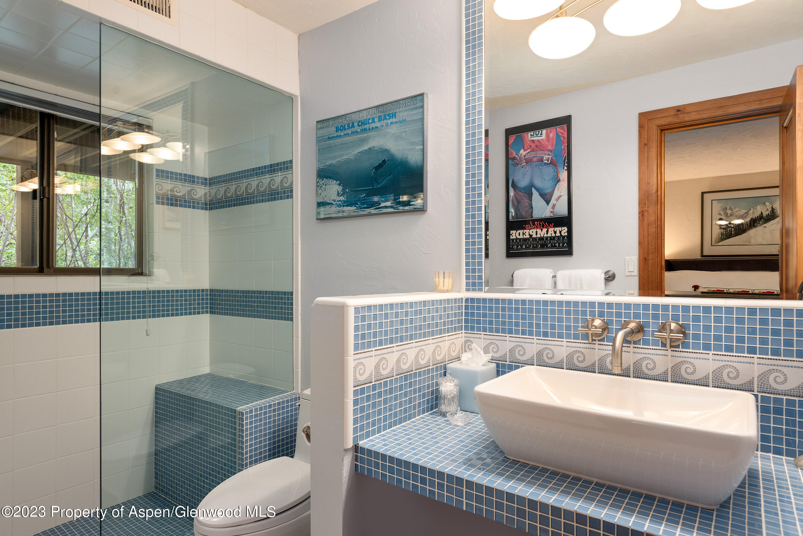 222 Roaring Fork Drive Aspen CO 81611