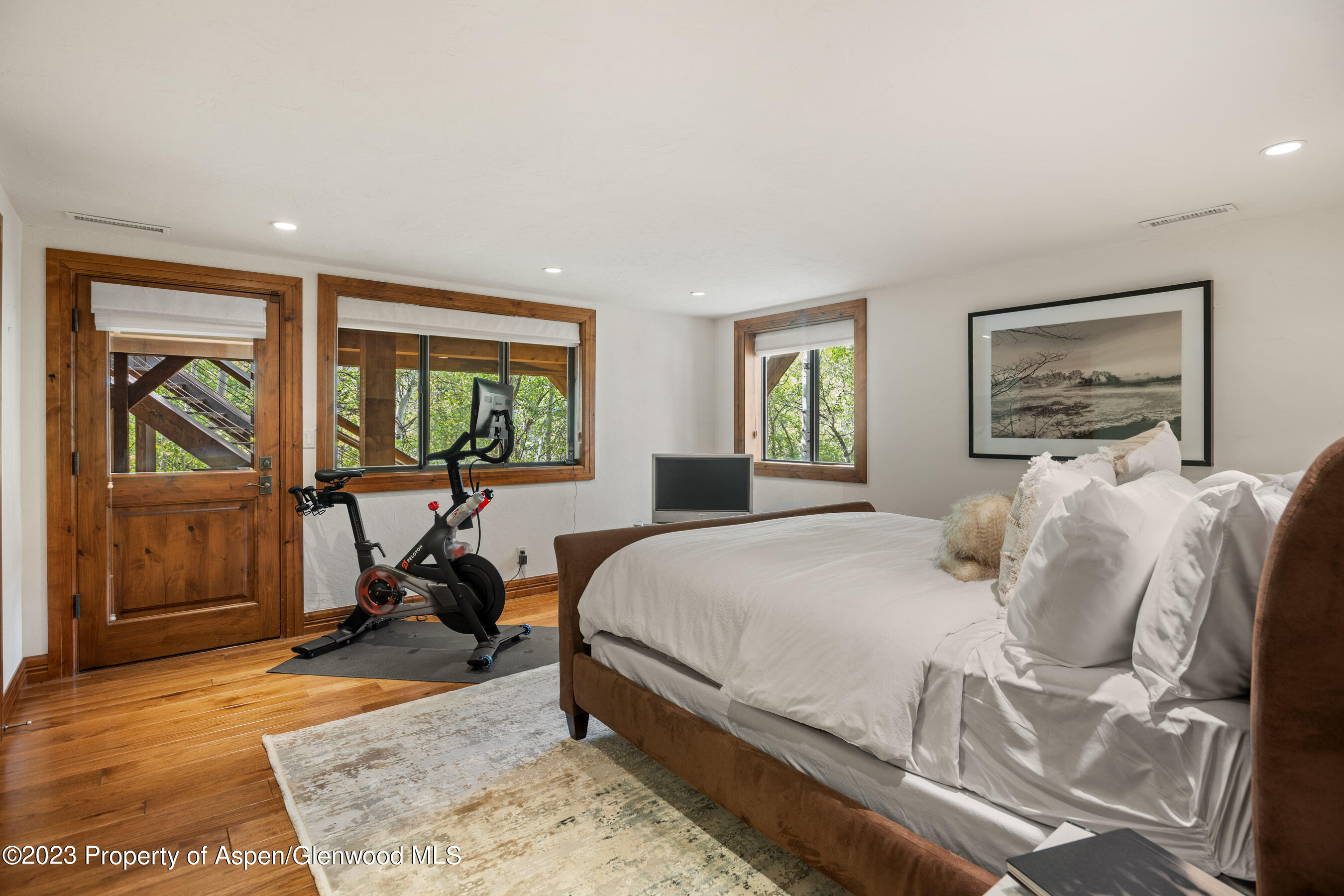 222 Roaring Fork Drive Aspen CO 81611