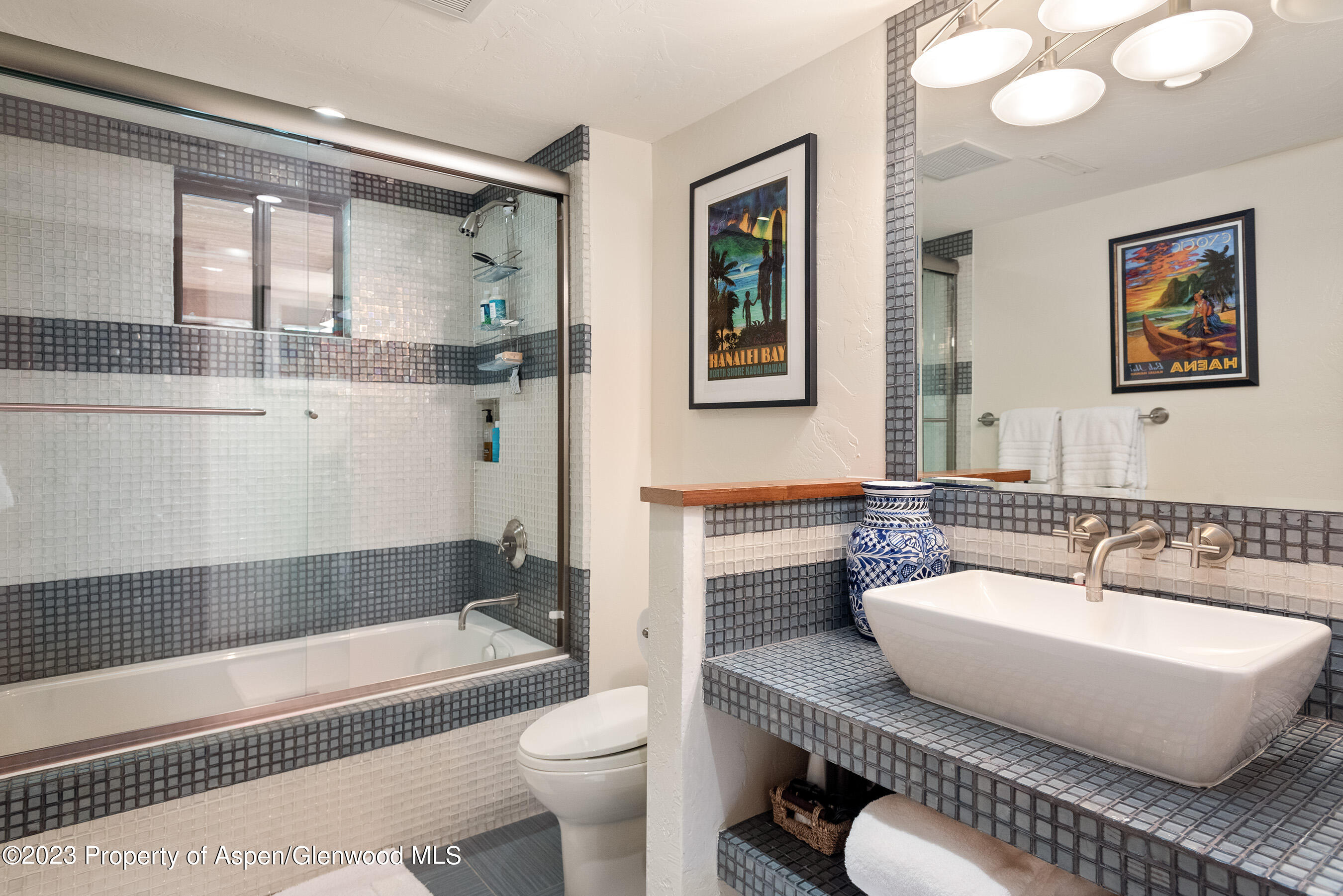 222 Roaring Fork Drive Aspen CO 81611