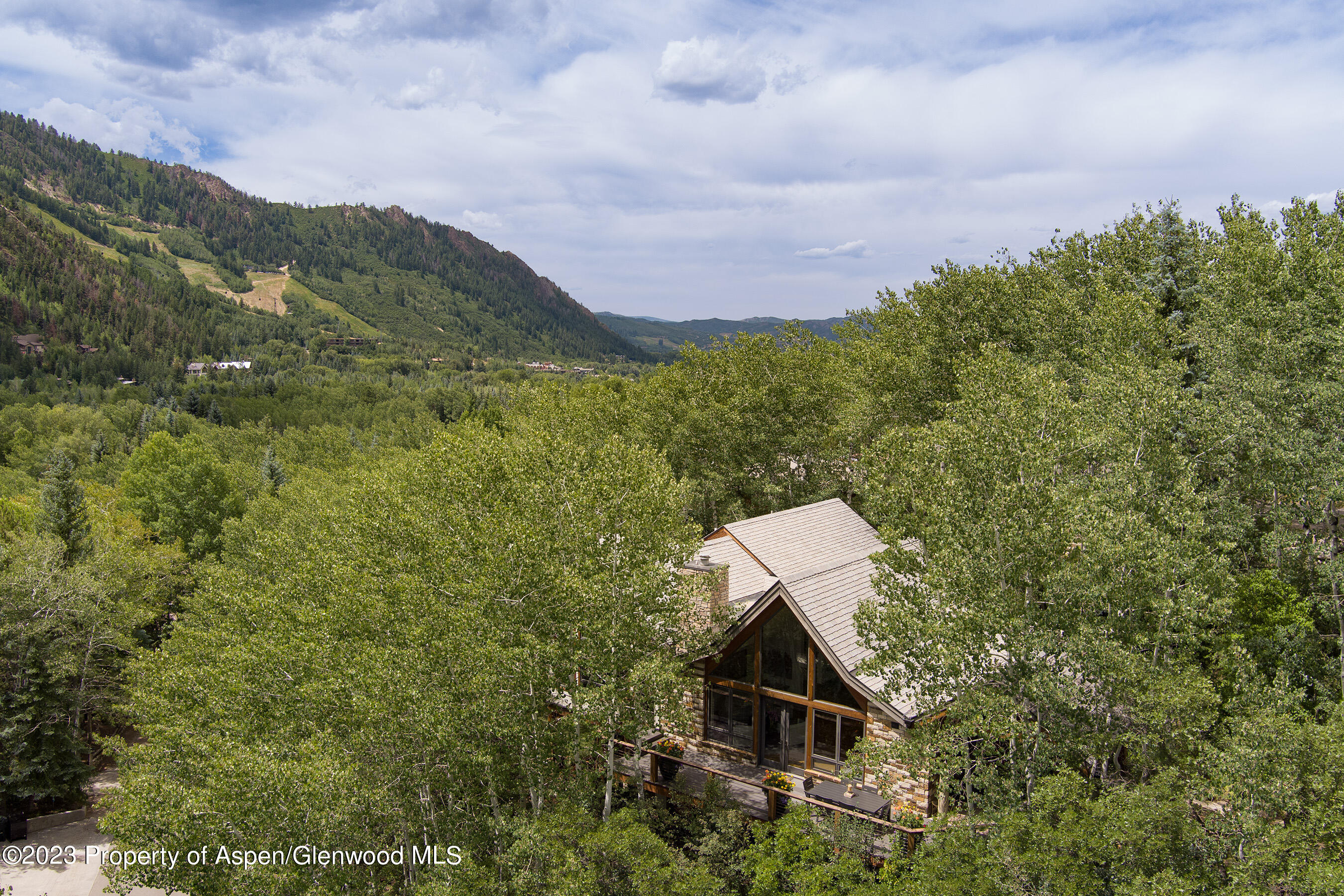 222 Roaring Fork Drive Aspen CO 81611