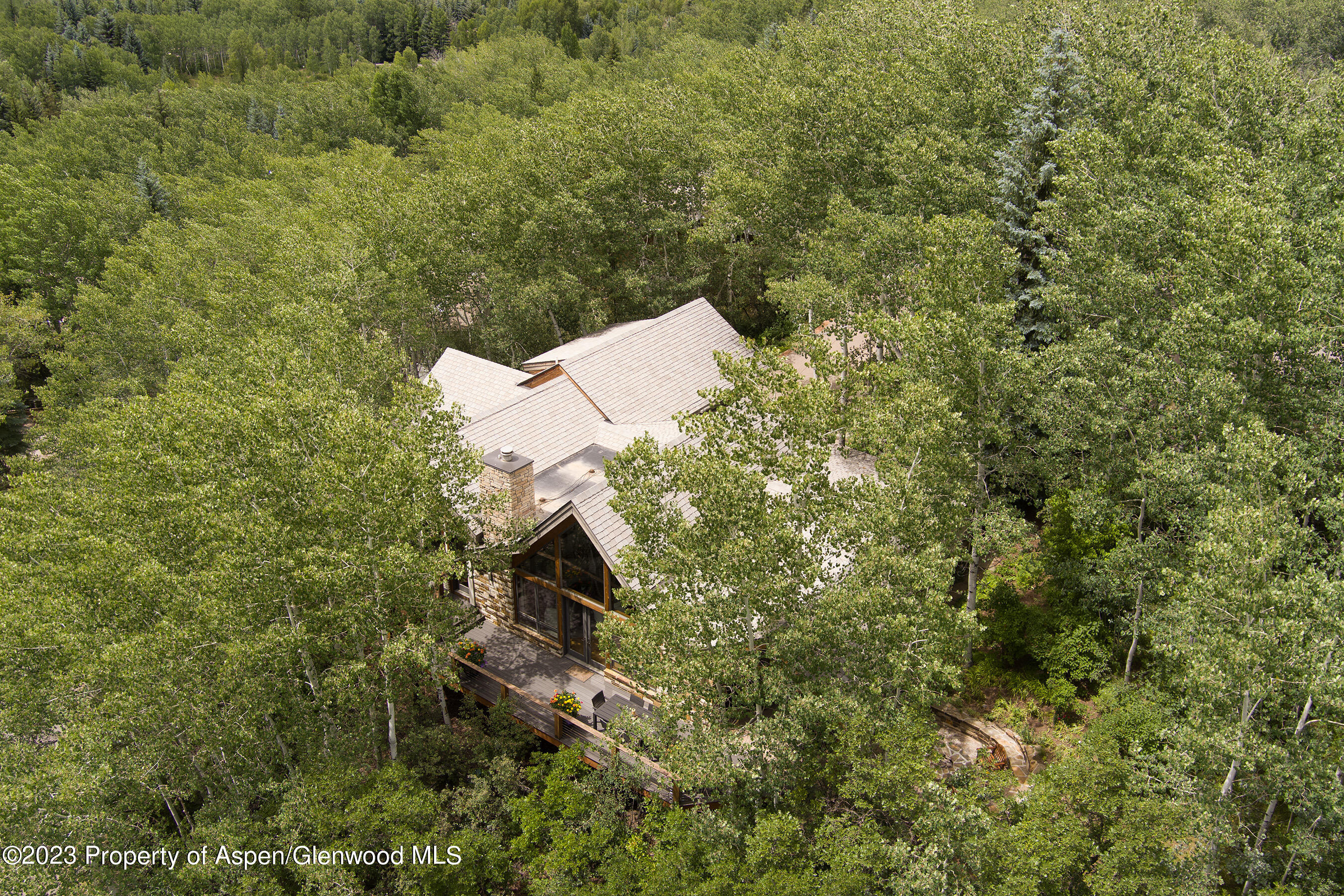 222 Roaring Fork Drive Aspen CO 81611