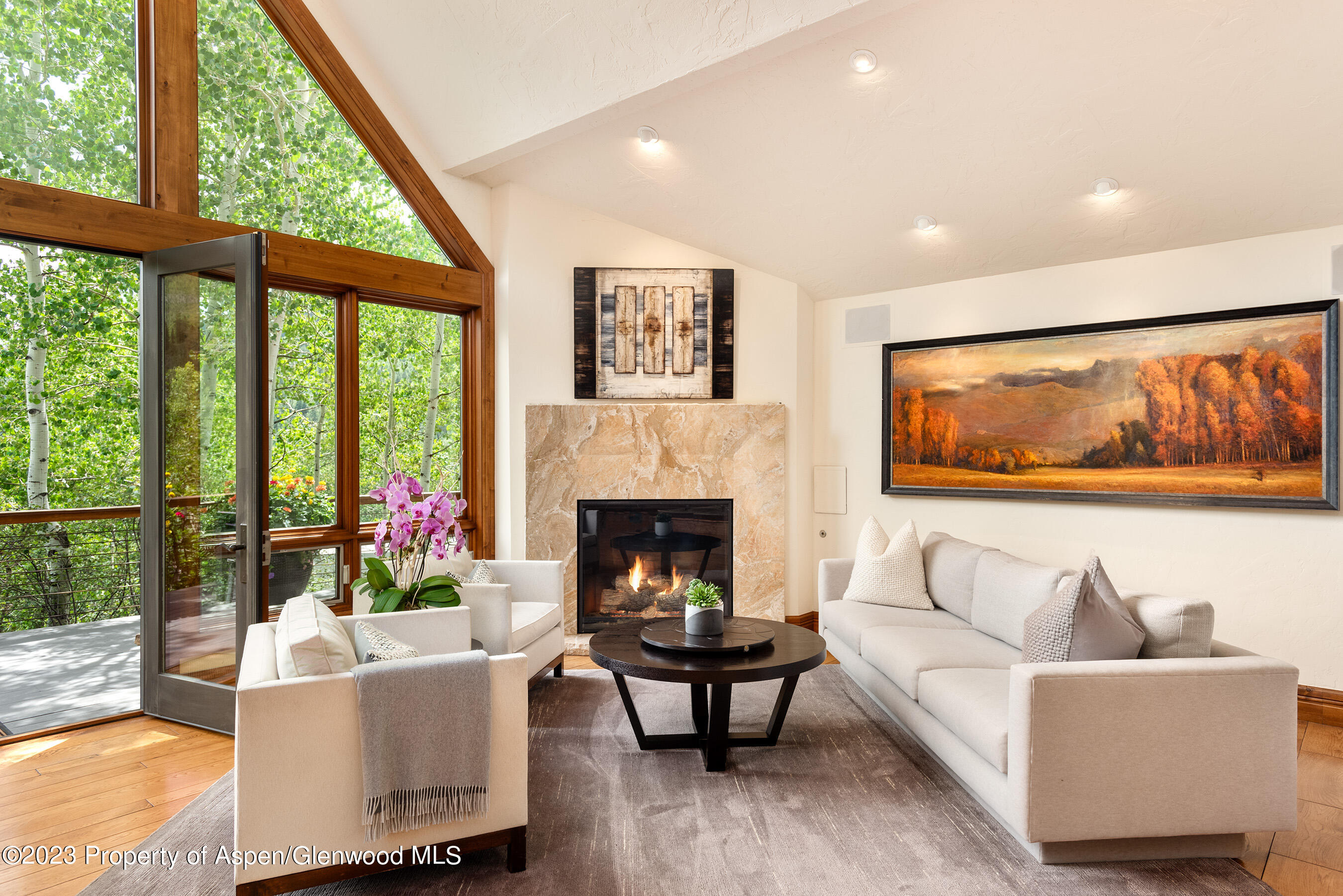 222 Roaring Fork Drive Aspen CO 81611