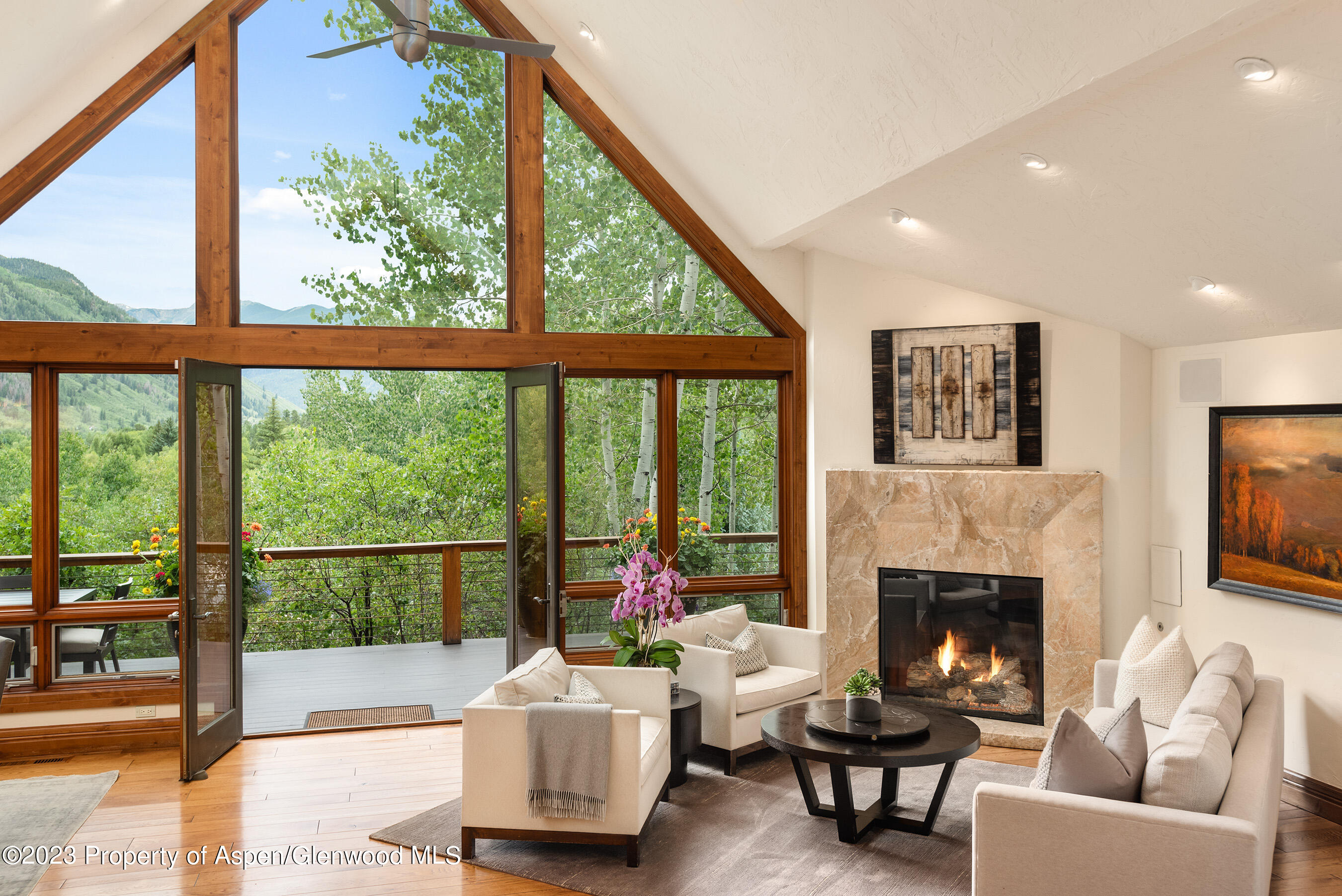 222 Roaring Fork Drive Aspen CO 81611