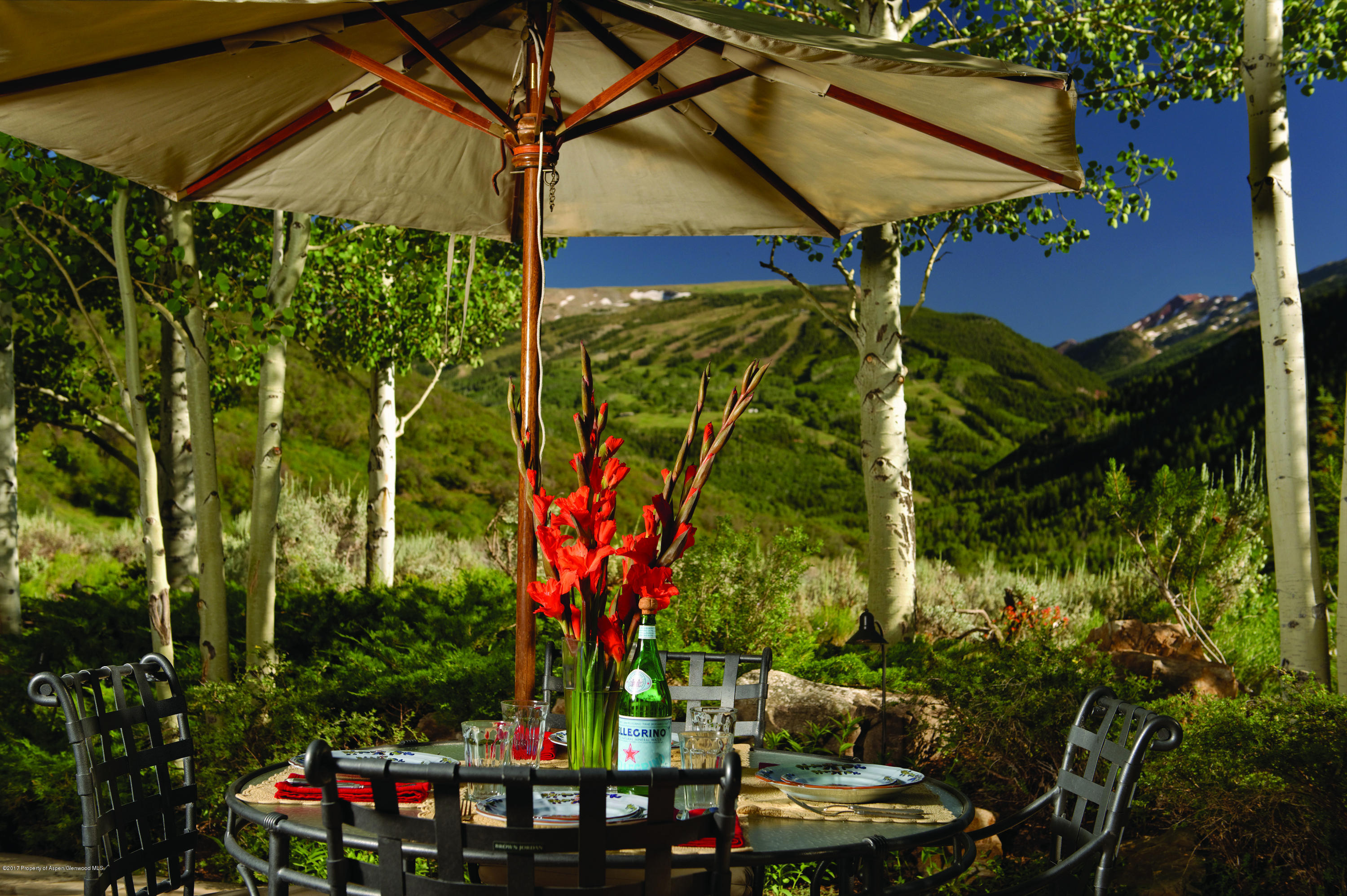 7846 Snowmass Creek Road Snowmass CO 81654