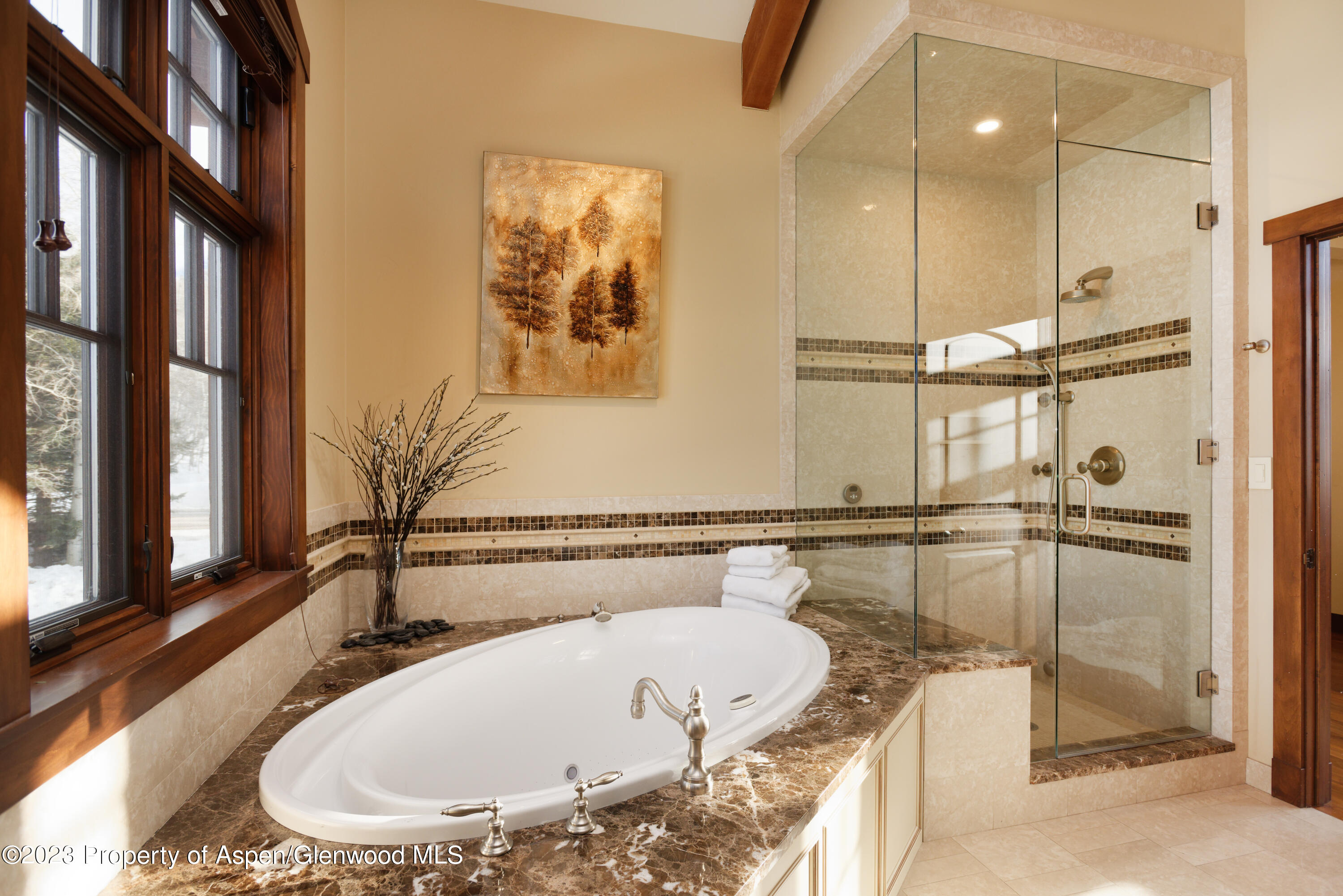 227 Faraway Road Snowmass Village CO 81615