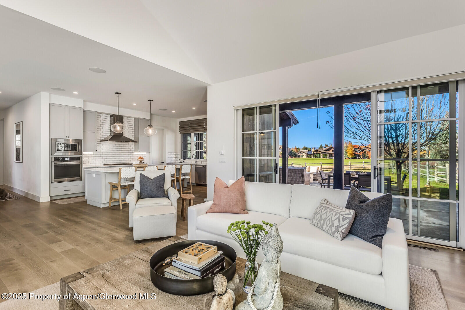 283 Crystal Canyon Drive Carbondale CO 81623