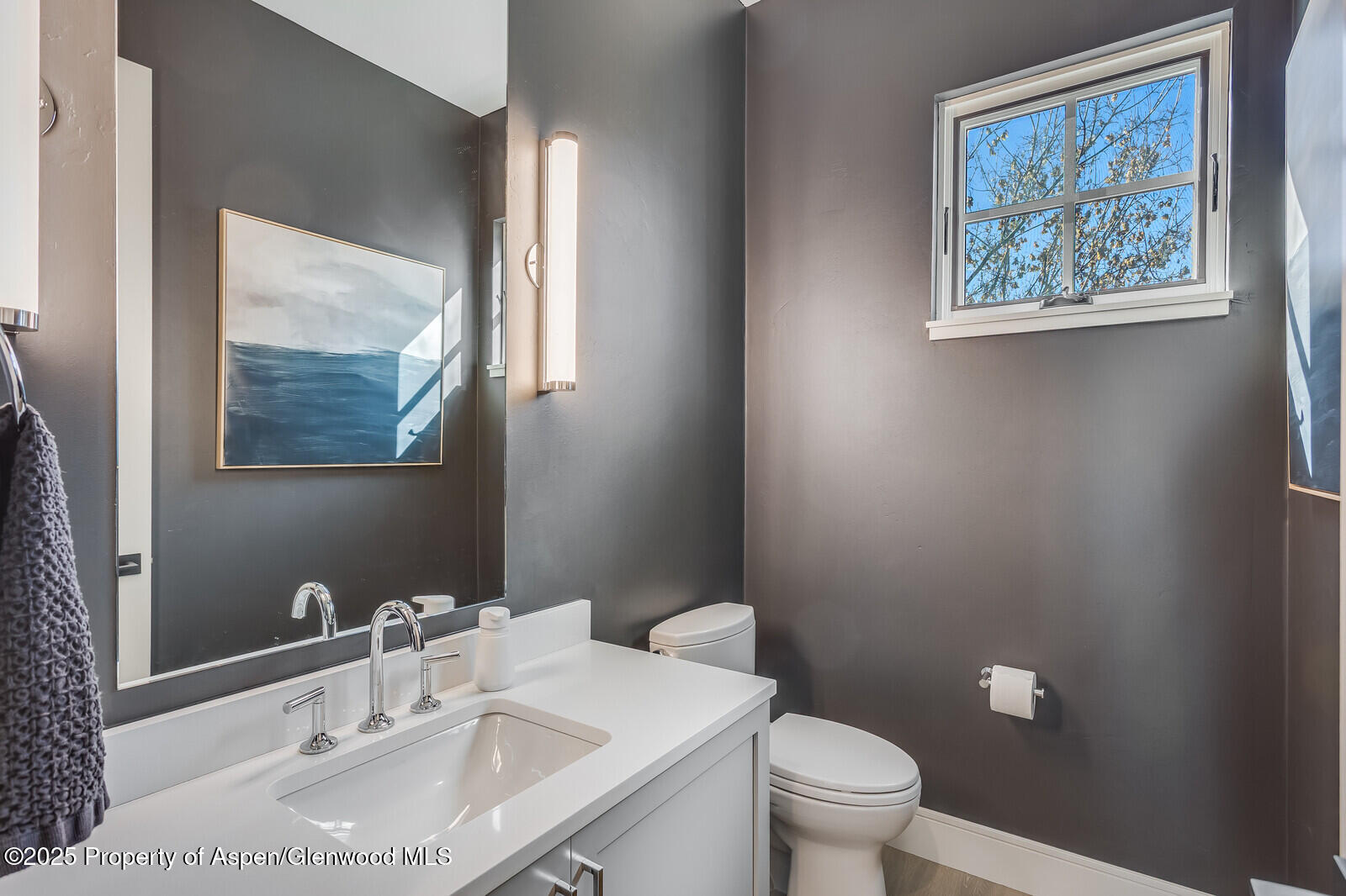 283 Crystal Canyon Drive Carbondale CO 81623