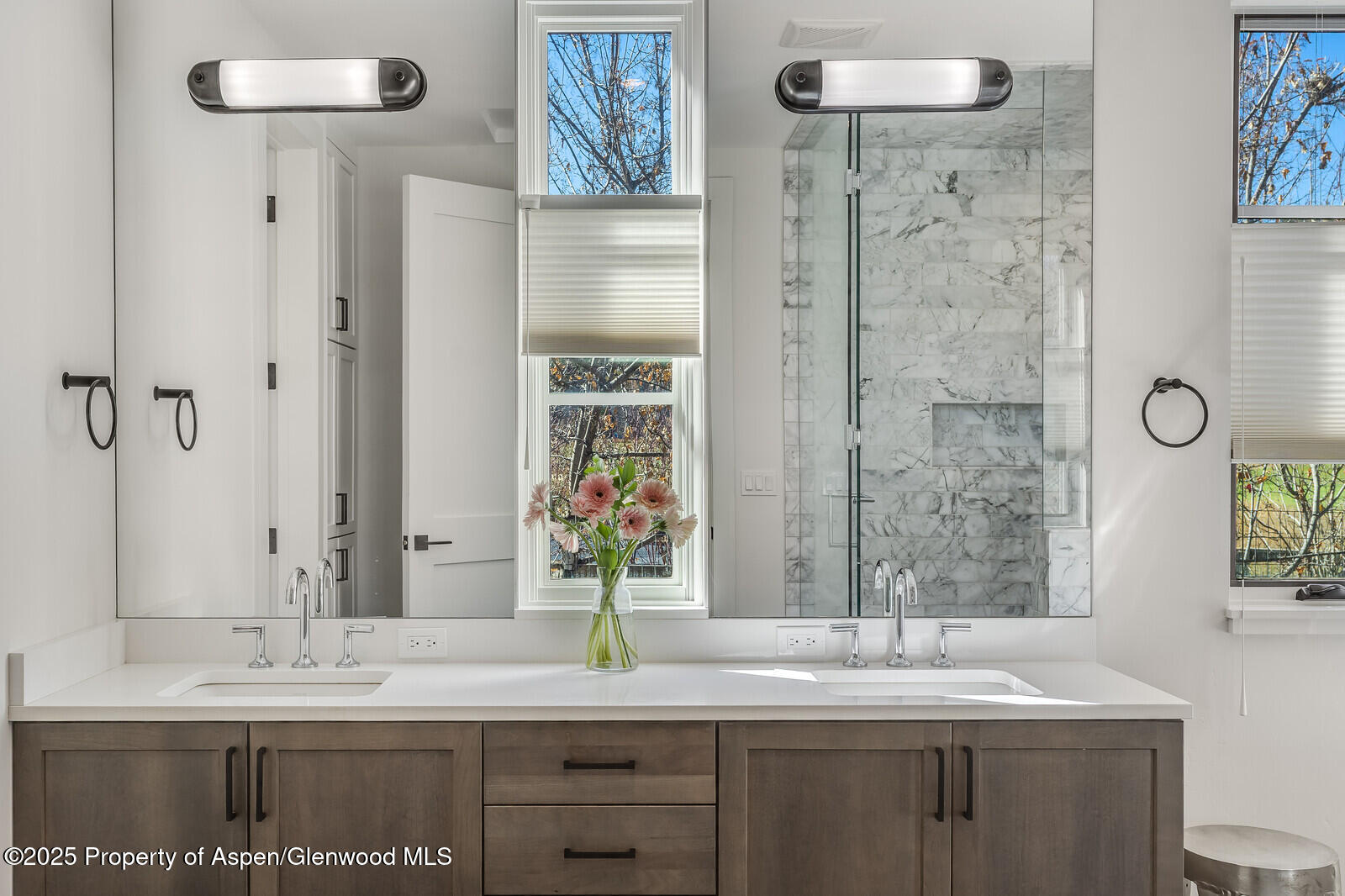 283 Crystal Canyon Drive Carbondale CO 81623