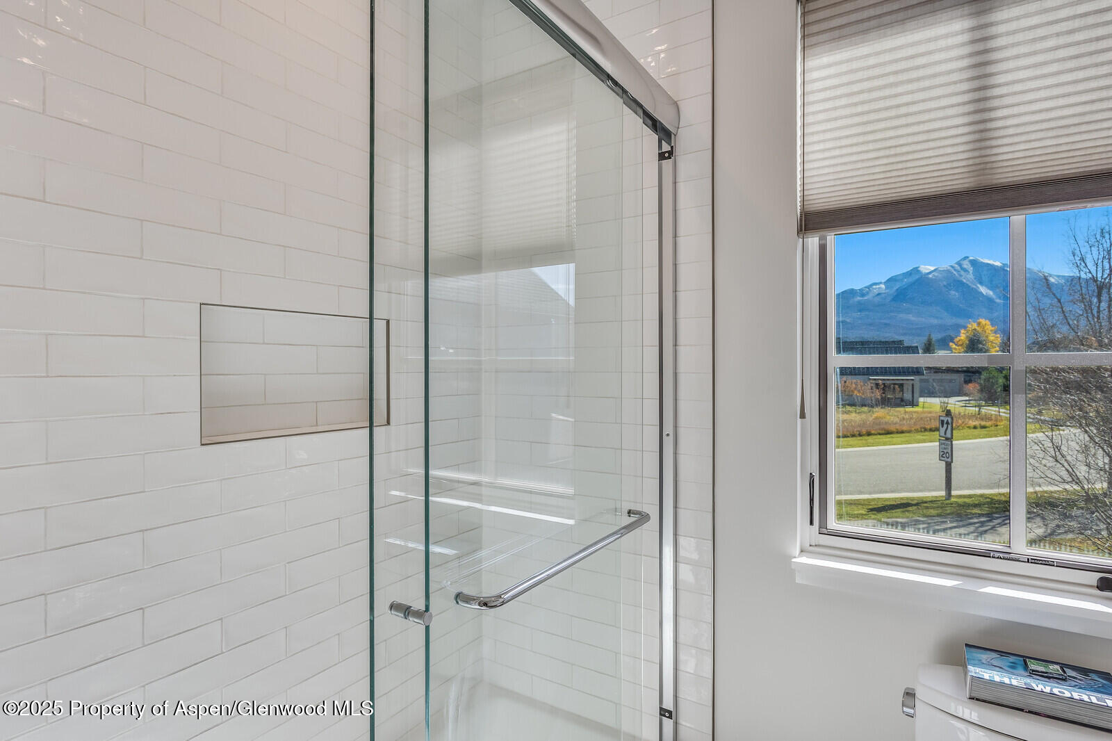 283 Crystal Canyon Drive Carbondale CO 81623