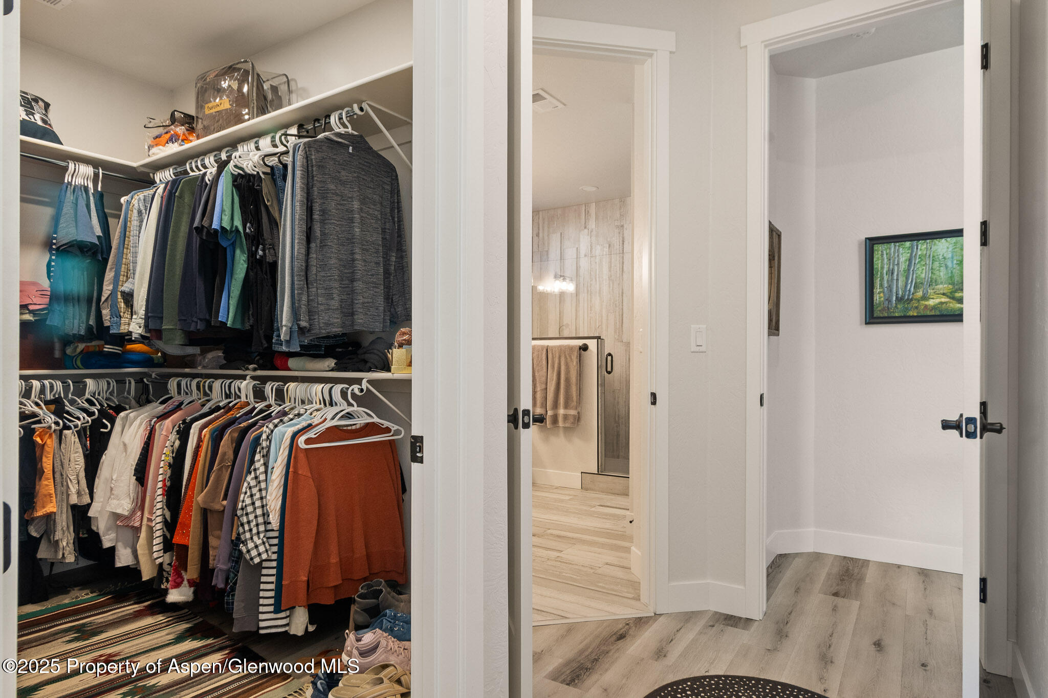 559 Hobbs Court Fruita CO 81521