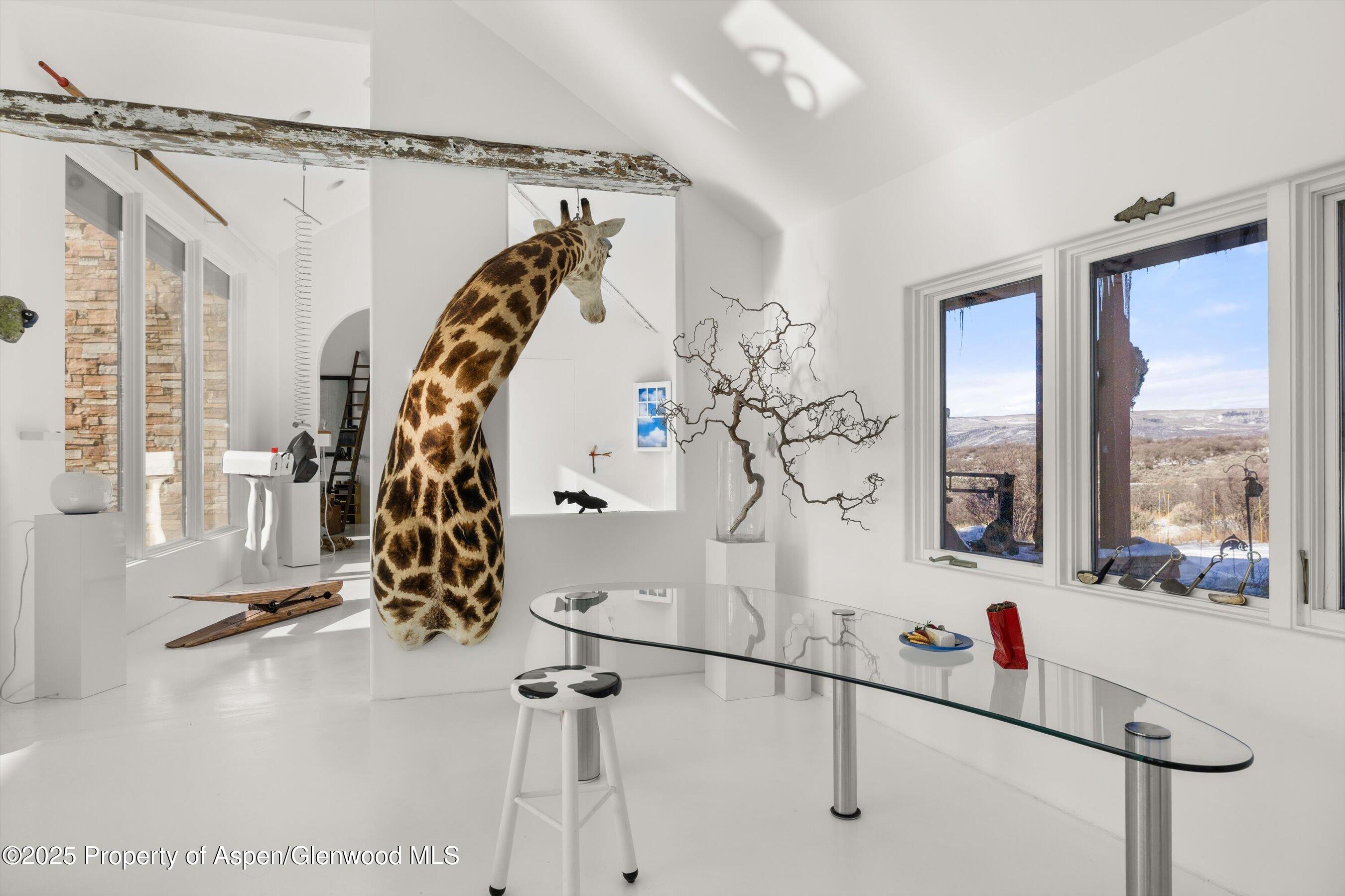 2103 Ten Peaks Mesa Road Carbondale CO 81623