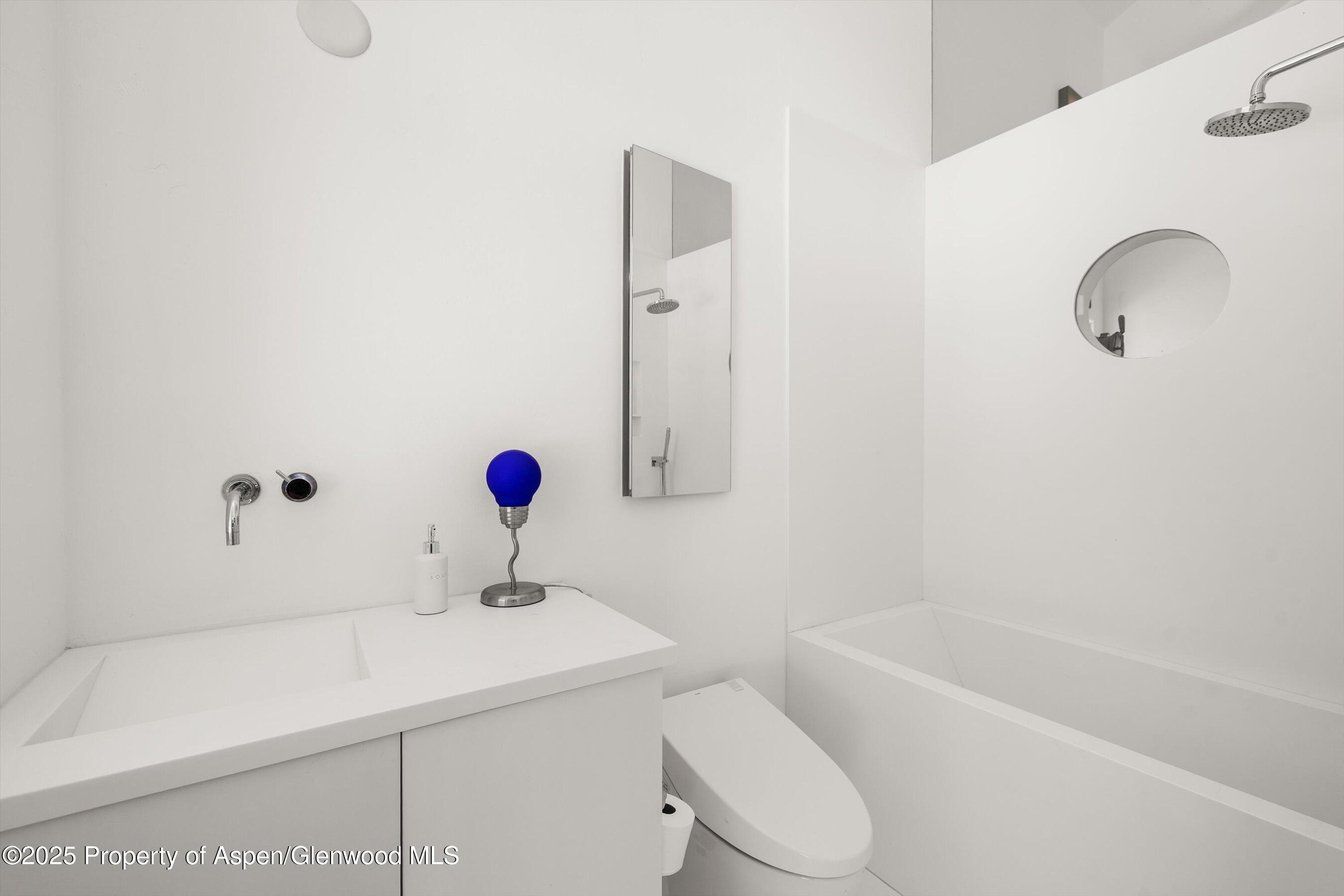 2103 Ten Peaks Mesa Road Carbondale CO 81623