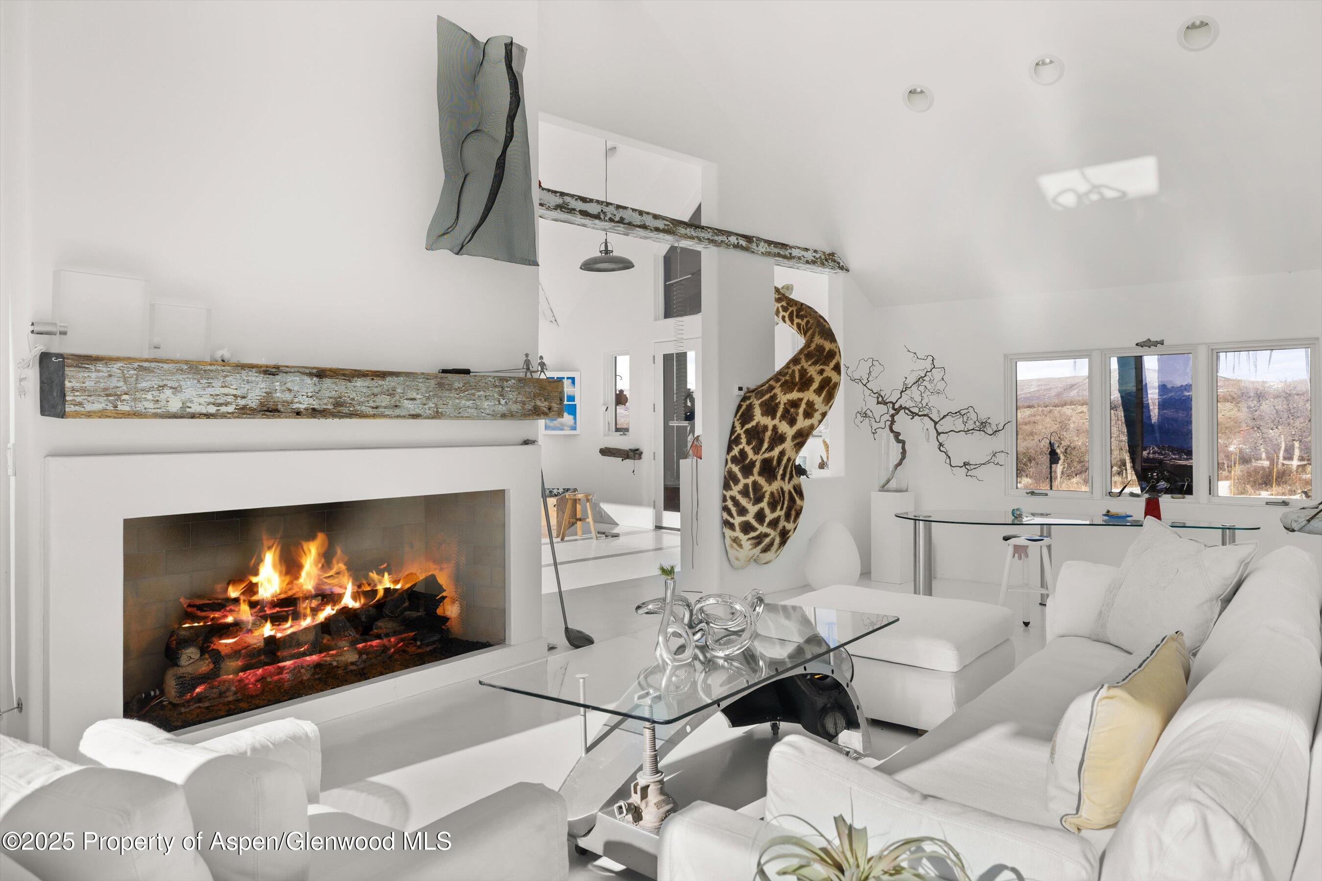 2103 Ten Peaks Mesa Road Carbondale CO 81623