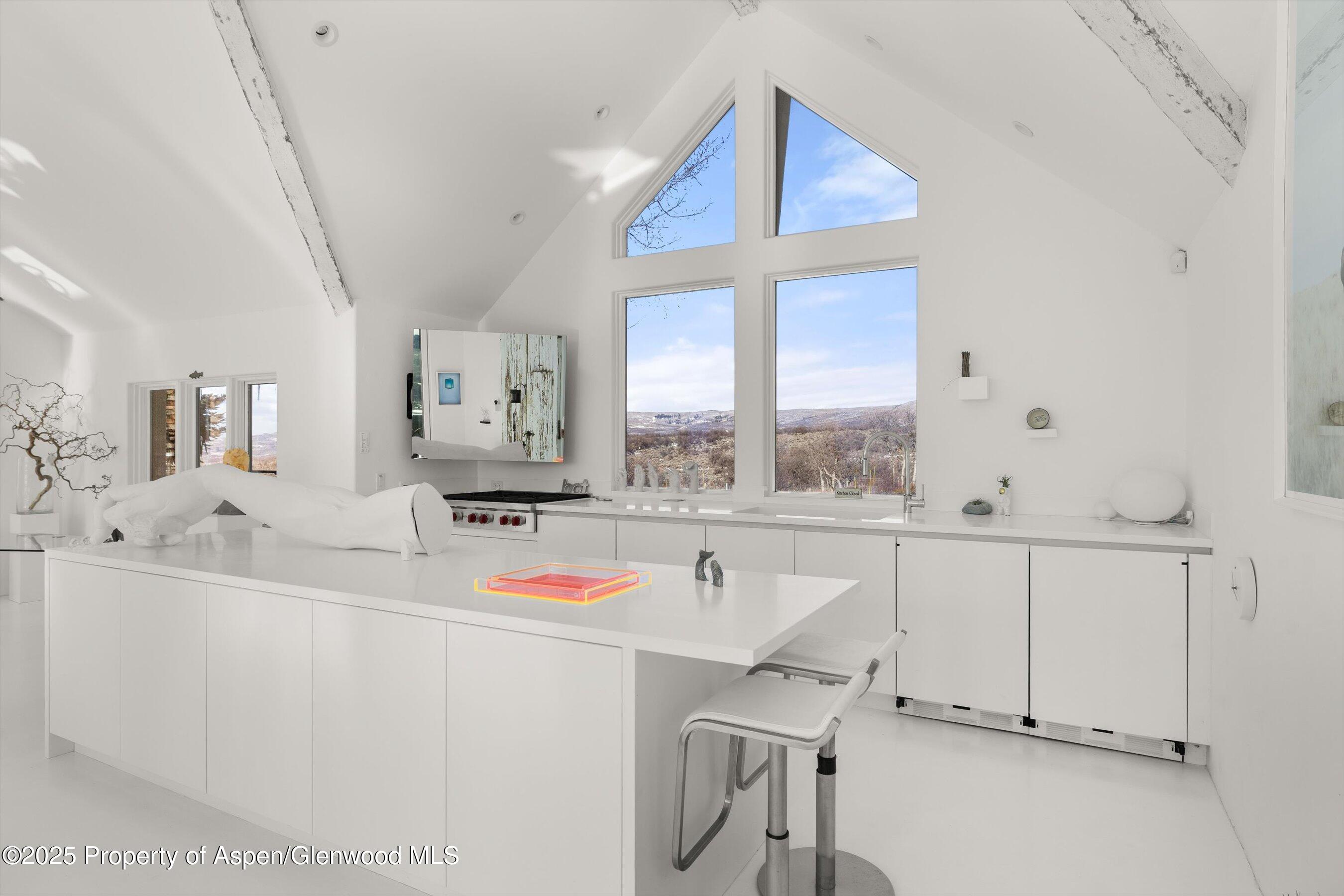 2103 Ten Peaks Mesa Road Carbondale CO 81623