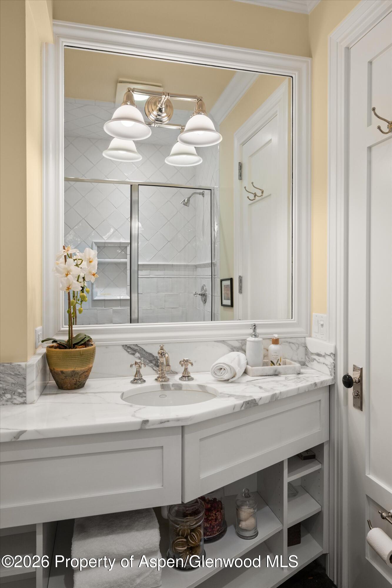 215 W Bleeker Street Aspen CO 81611