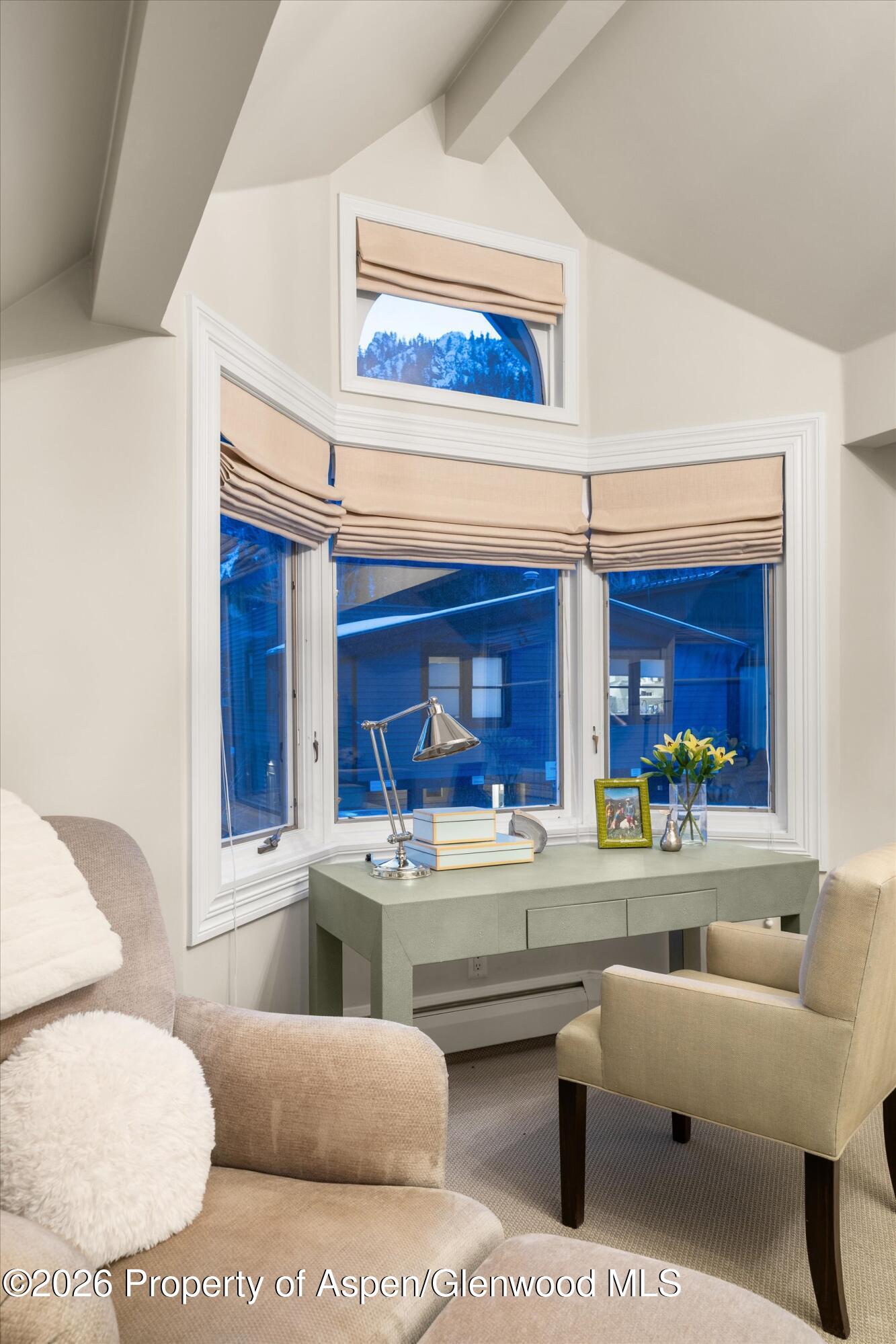 215 W Bleeker Street Aspen CO 81611