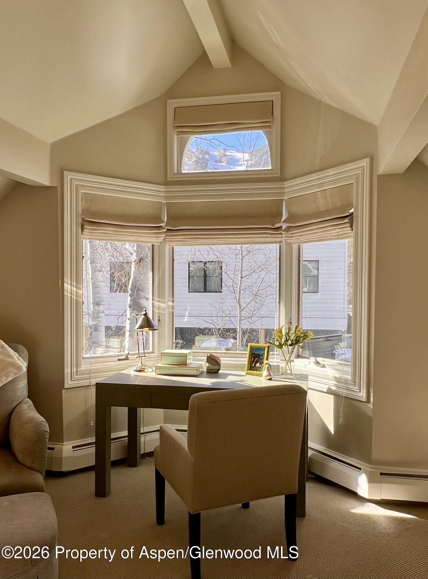 215 W Bleeker Street Aspen CO 81611