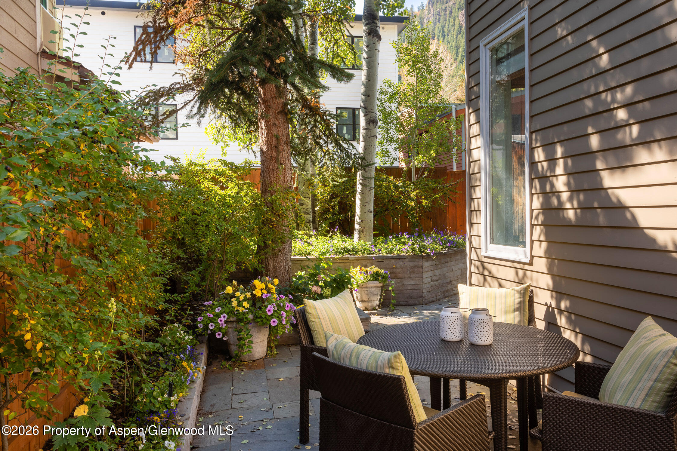 215 W Bleeker Street Aspen CO 81611