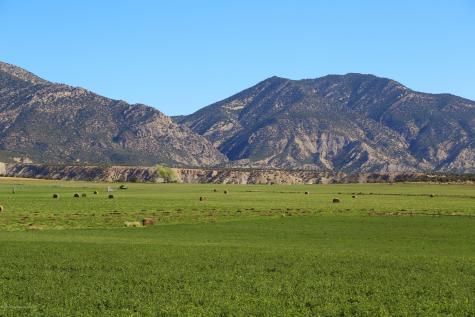 Tbd County Road 233 Rifle CO 81650