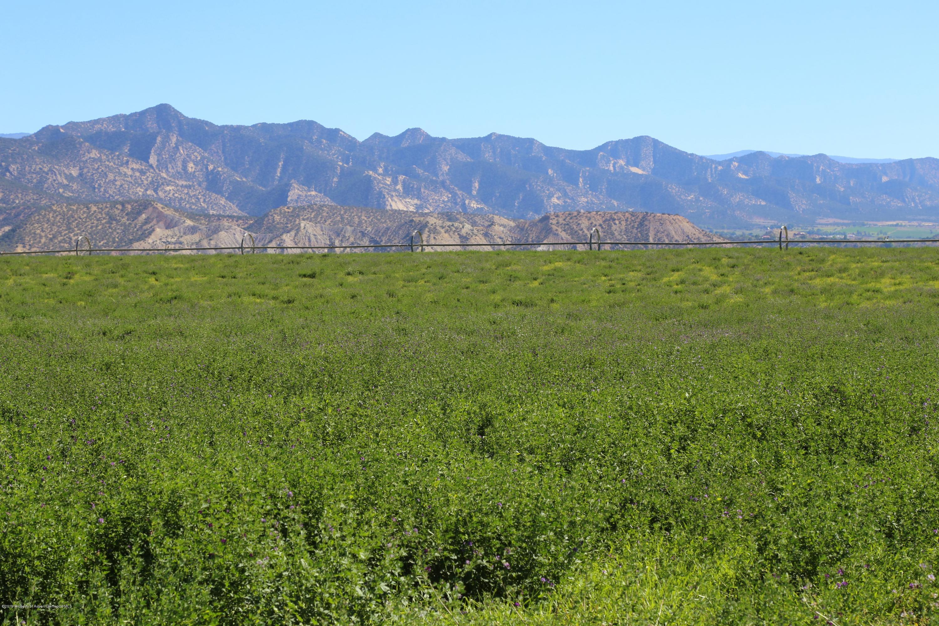 Tbd County Road 233 Rifle CO 81650