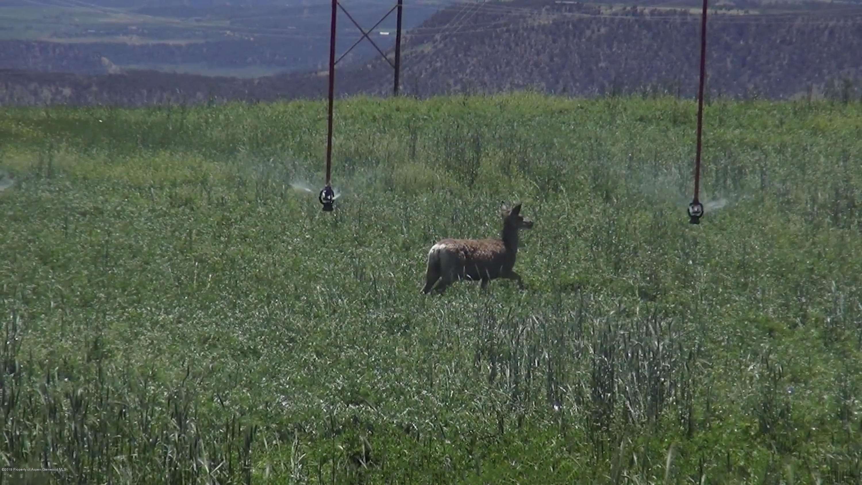 Tbd County Road 233 Rifle CO 81650