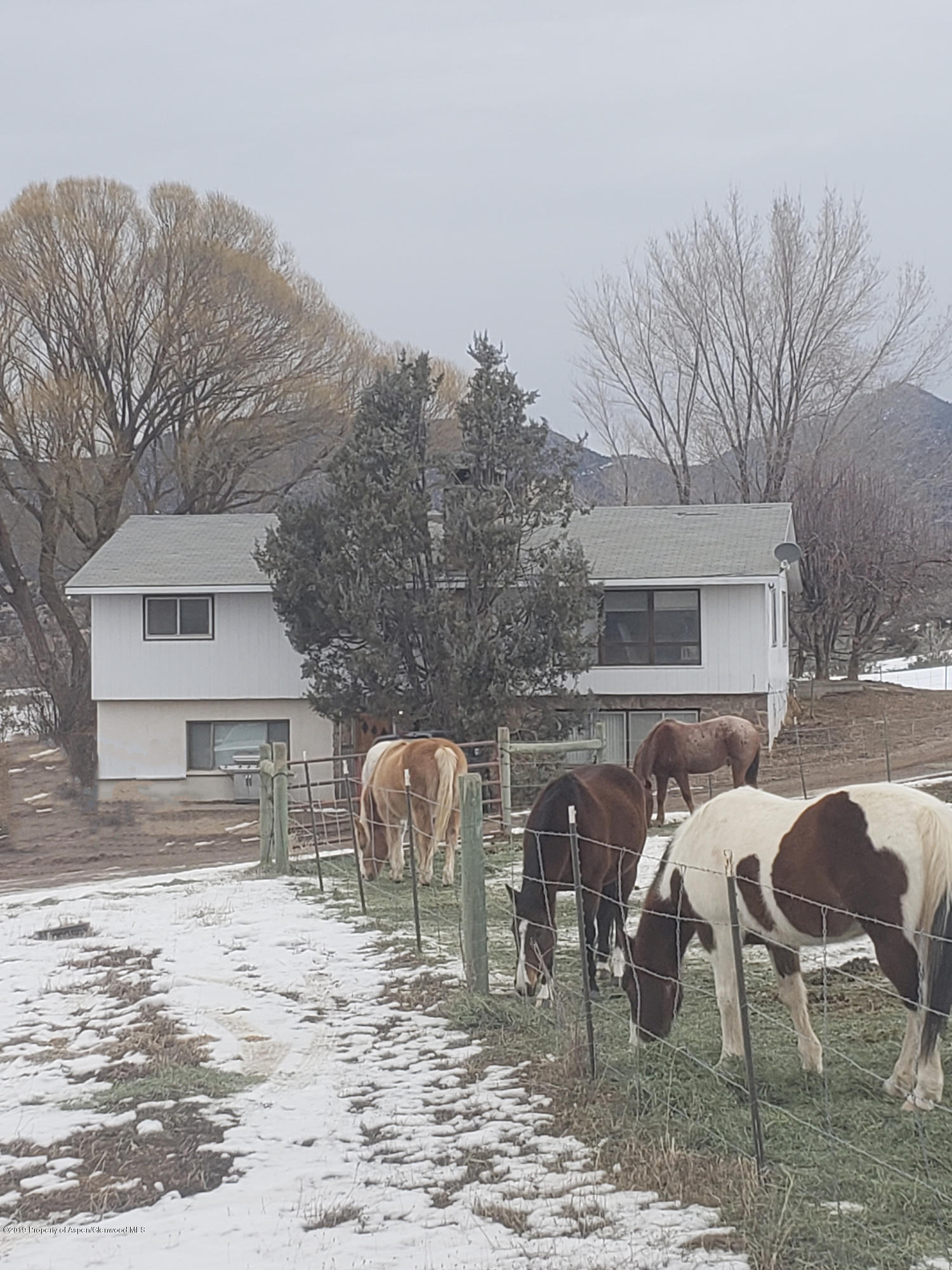 Tbd County Road 233 Rifle CO 81650