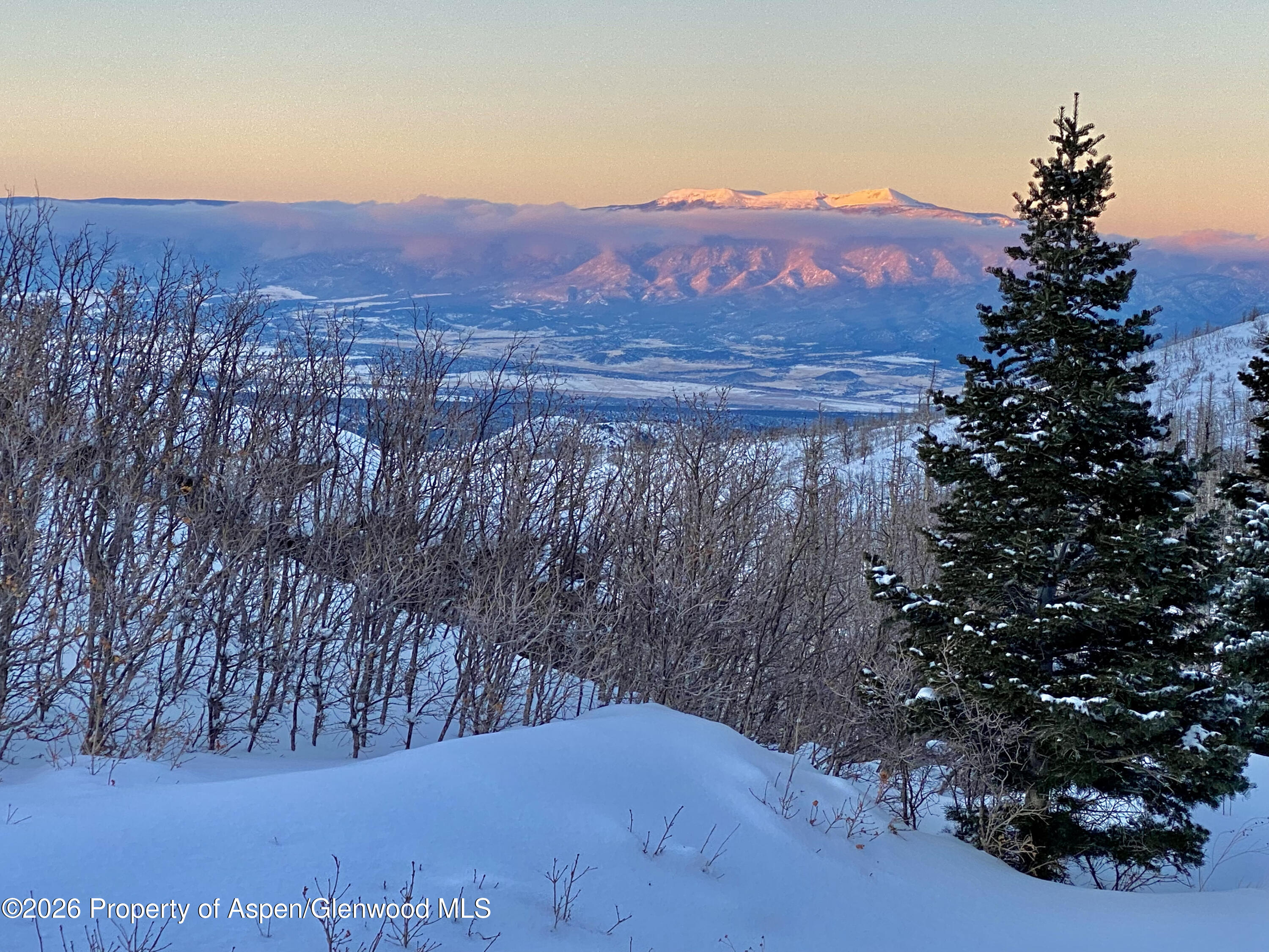 1833 Yellowstone Creek Road La Veta CO 81055