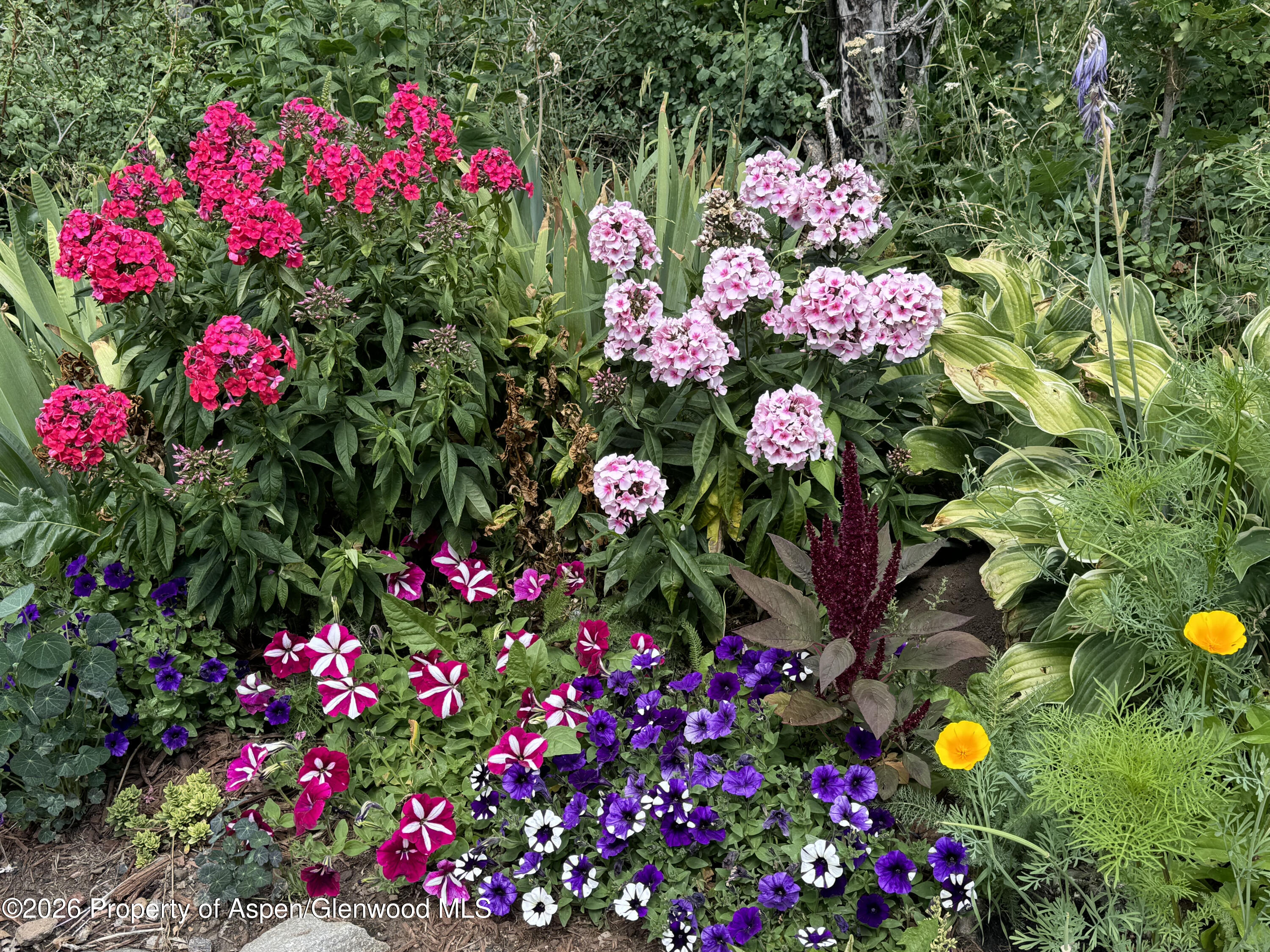 1833 Yellowstone Creek Road La Veta CO 81055