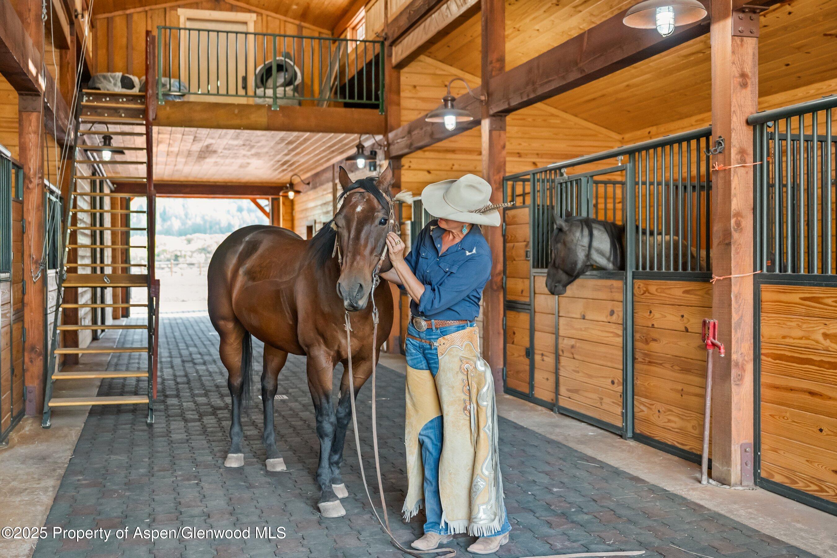 1301 Shield O Road Snowmass CO 81654