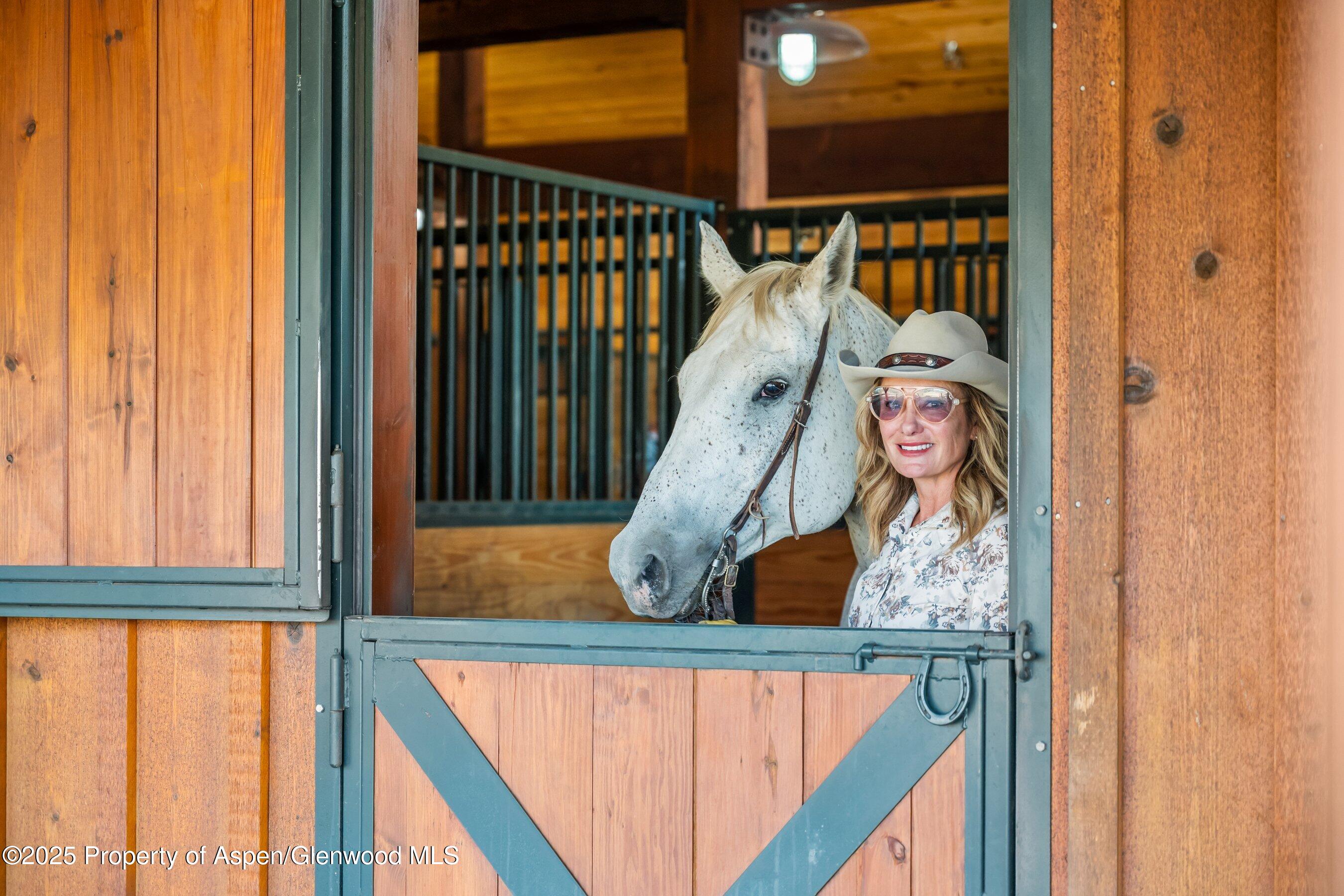 1301 Shield O Road Snowmass CO 81654