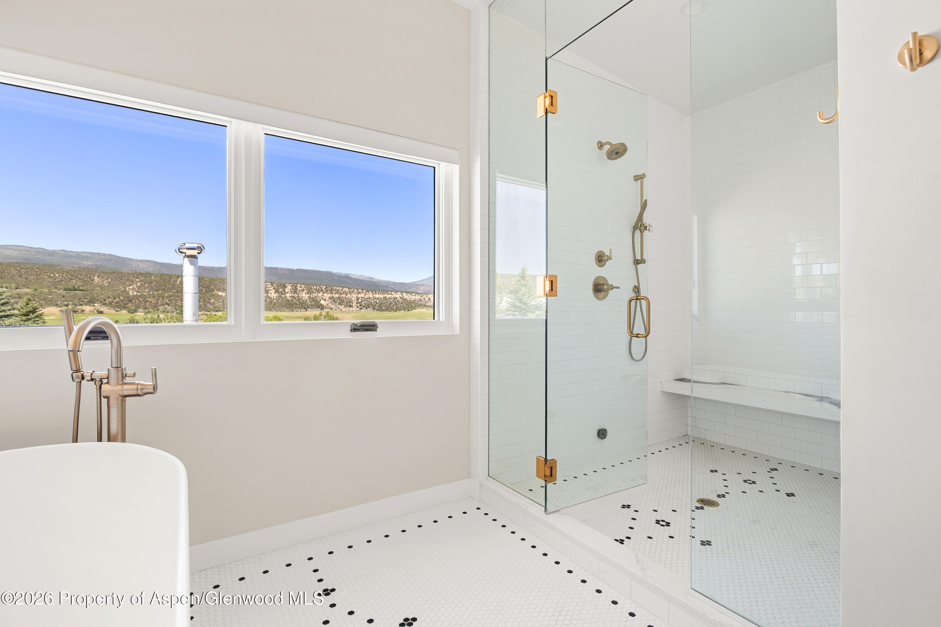 131 Meadow Court Carbondale CO 81623
