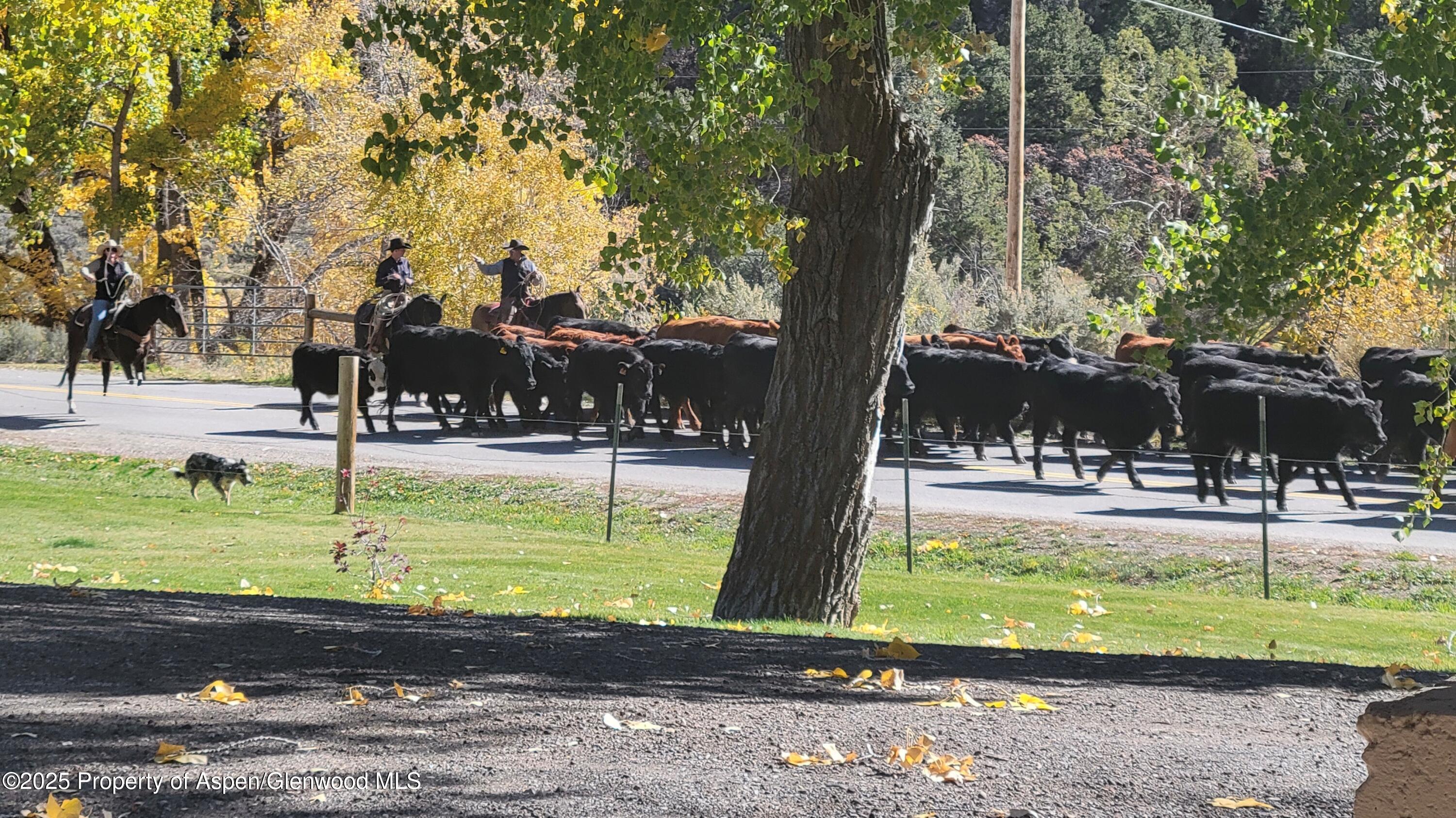 3211 County Road 237 Silt CO 81652