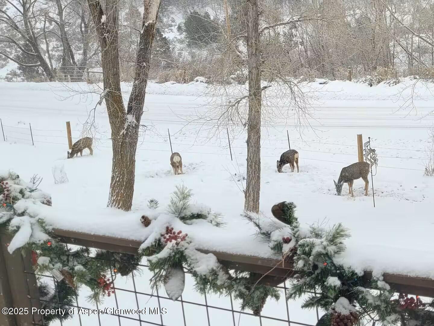 3211 County Road 237 Silt CO 81652