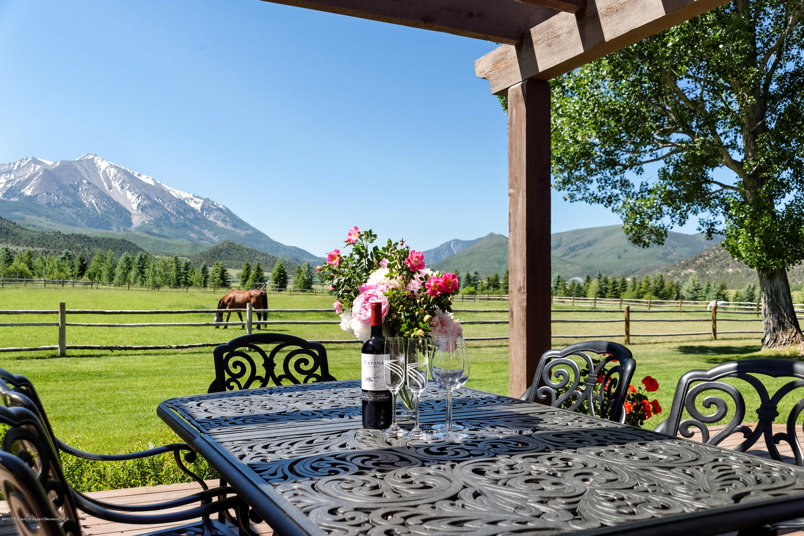 1567 Prince Creek Road Carbondale CO 81623