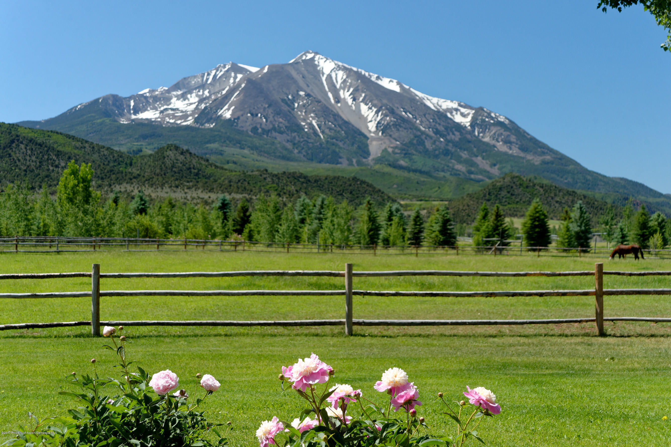 1567 Prince Creek Road Carbondale CO 81623