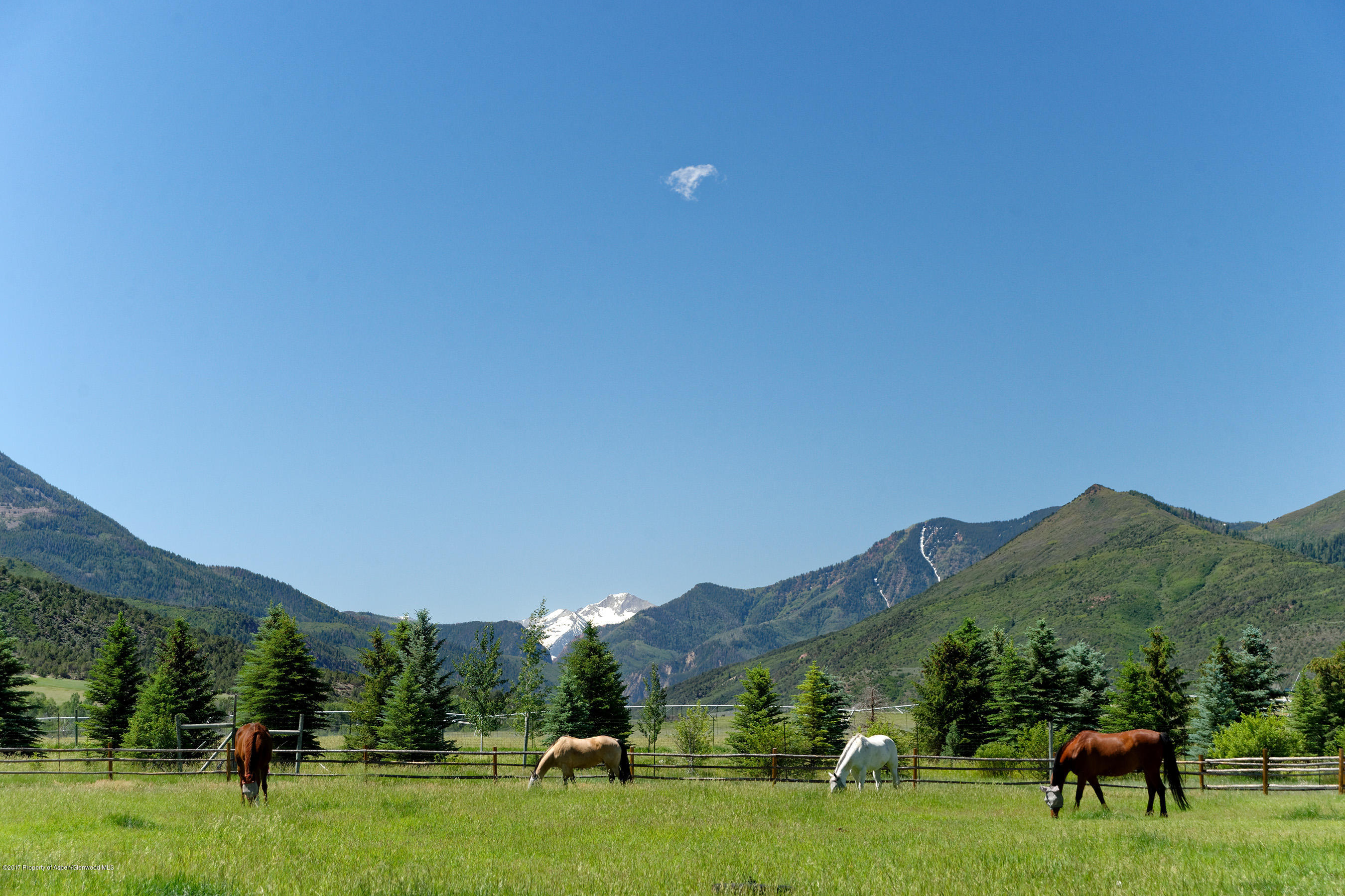 1567 Prince Creek Road Carbondale CO 81623