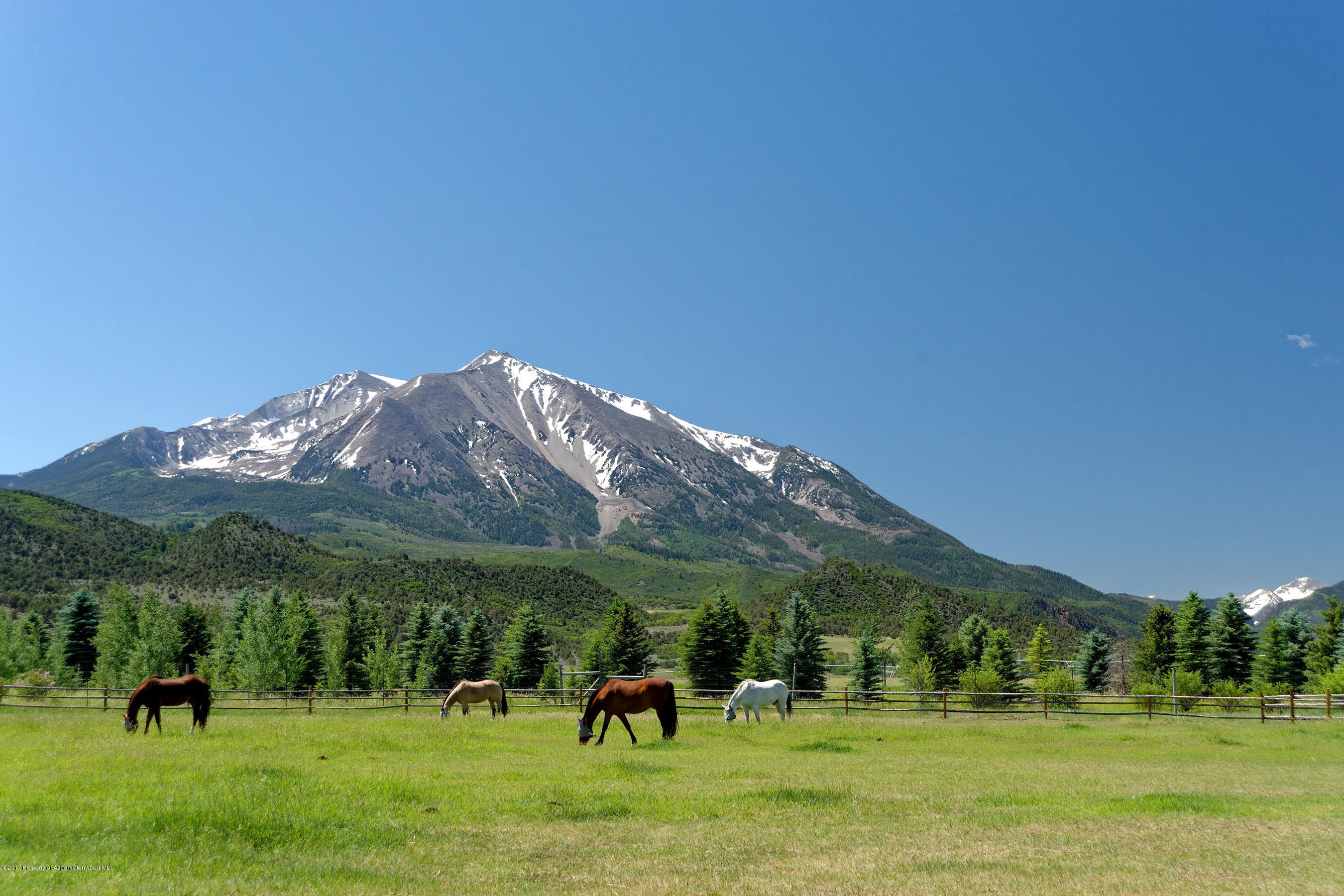 1567 Prince Creek Road Carbondale CO 81623