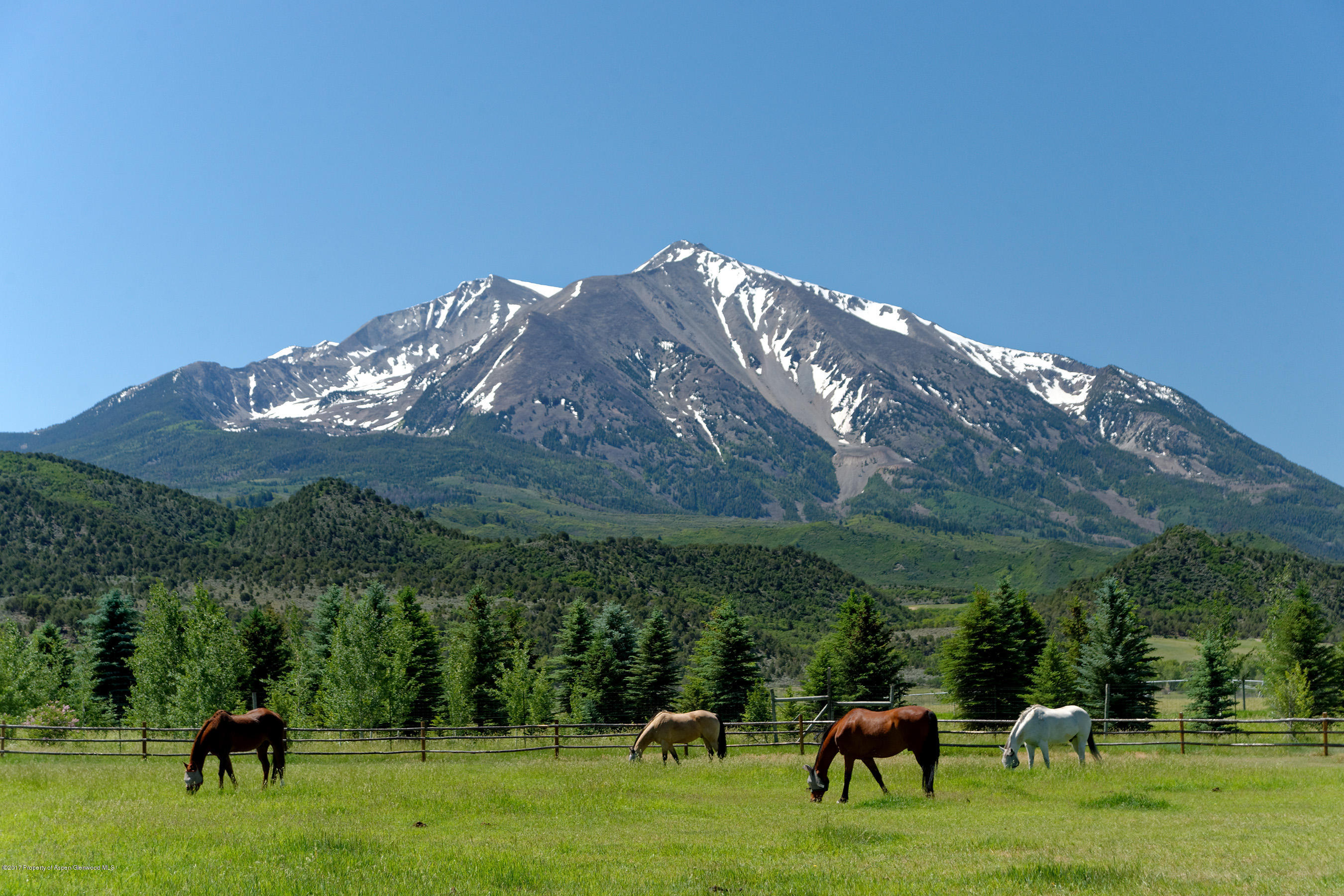 1567 Prince Creek Road Carbondale CO 81623