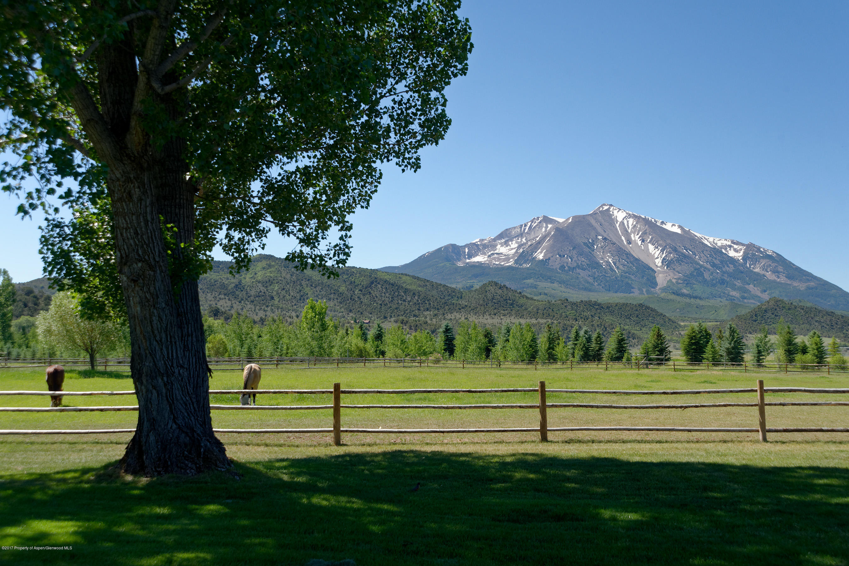 1567 Prince Creek Road Carbondale CO 81623