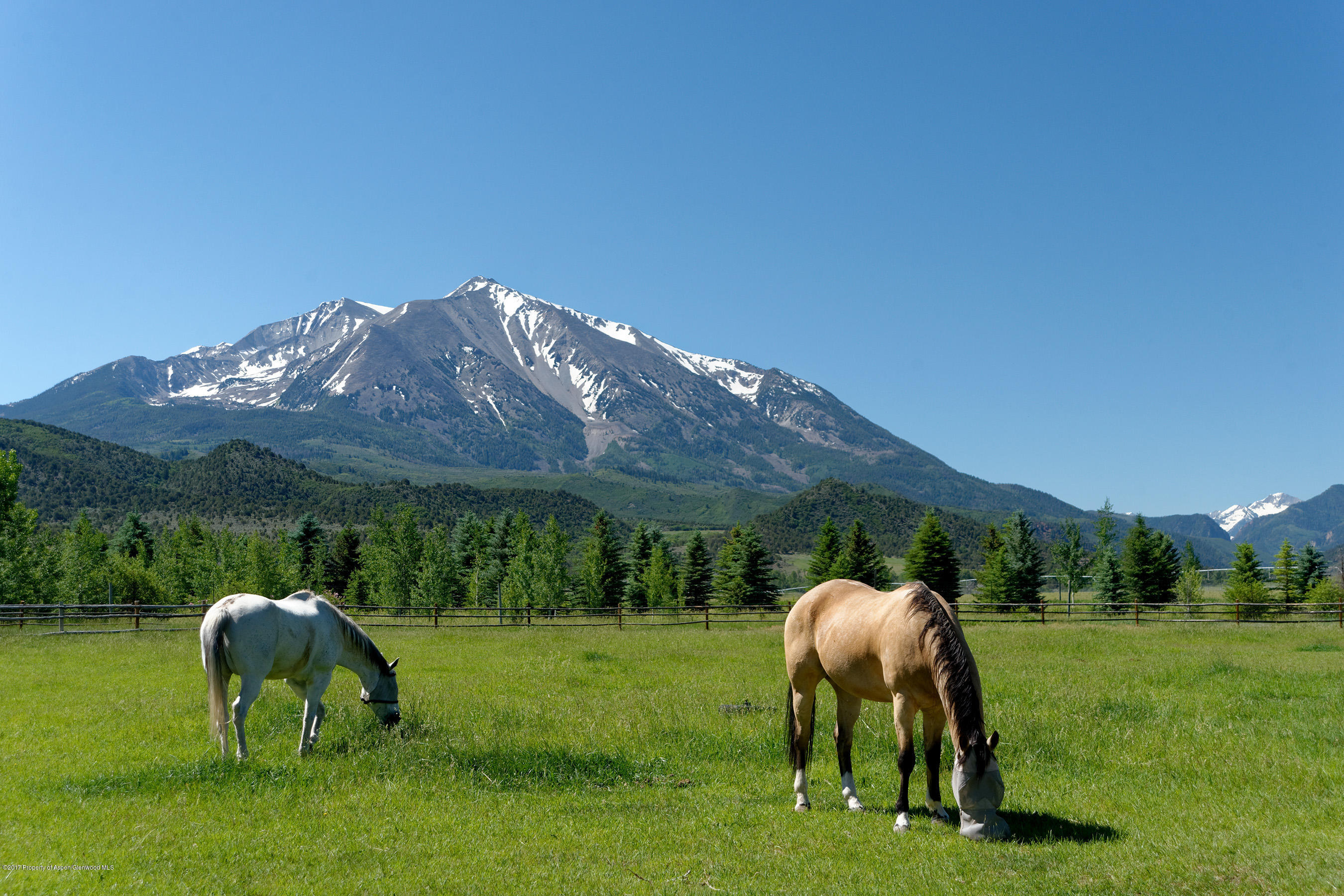 1567 Prince Creek Road Carbondale CO 81623