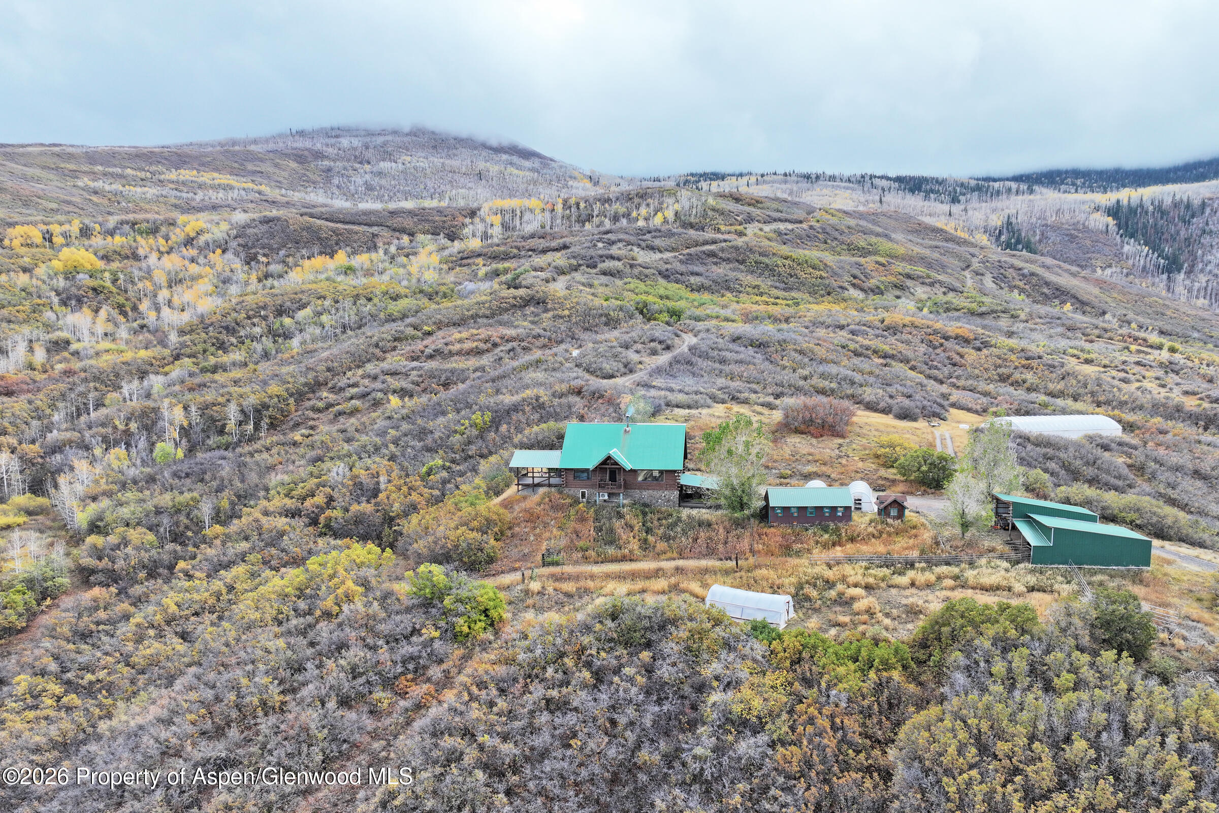 10822 60 3/4 Road Collbran CO 81624
