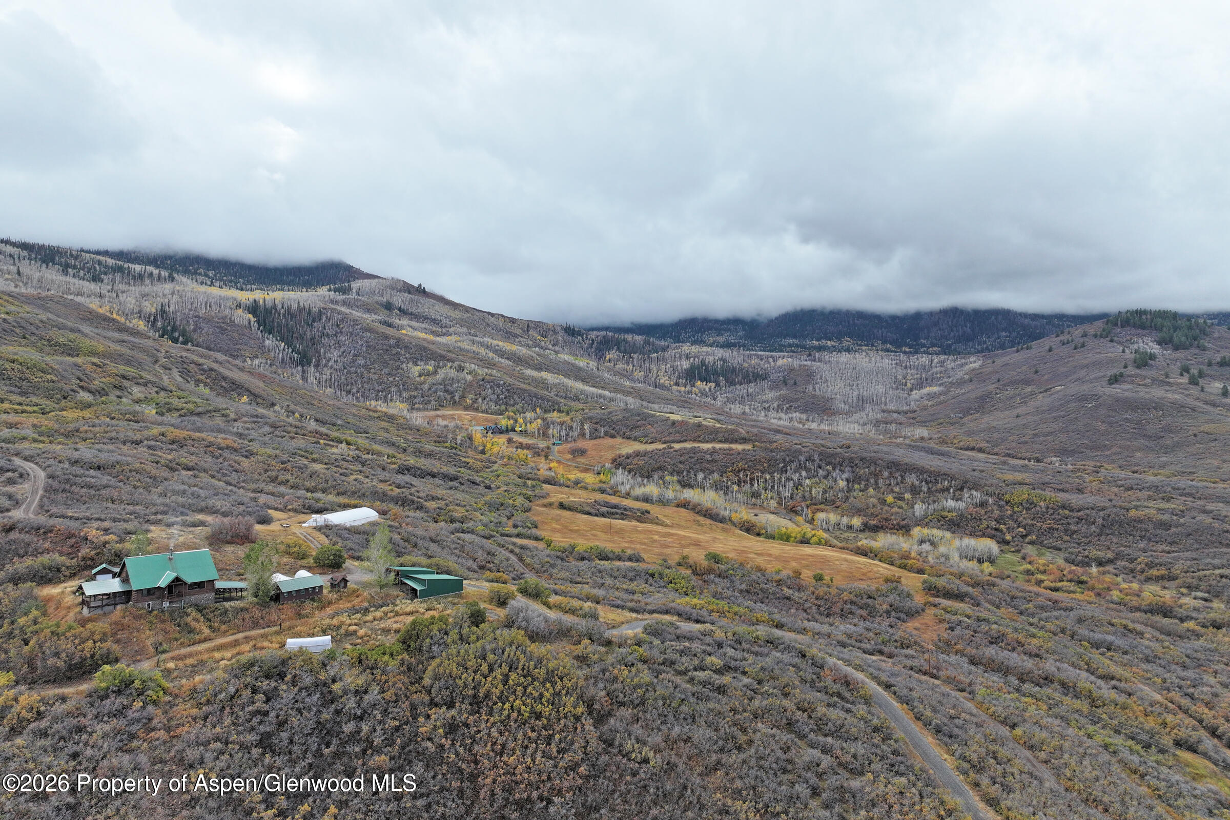 10822 60 3/4 Road Collbran CO 81624