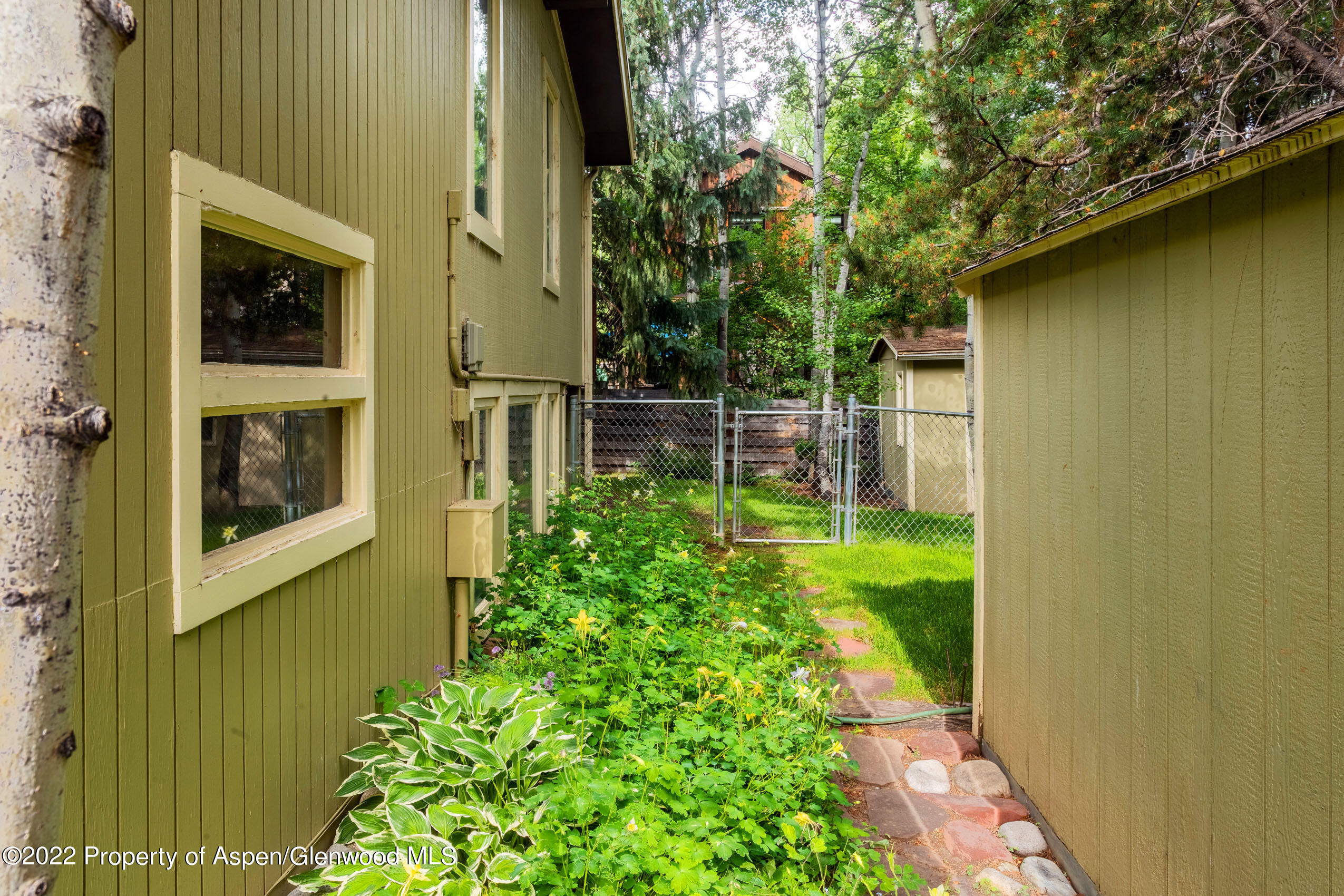 611 Fred Lane Aspen CO 81611