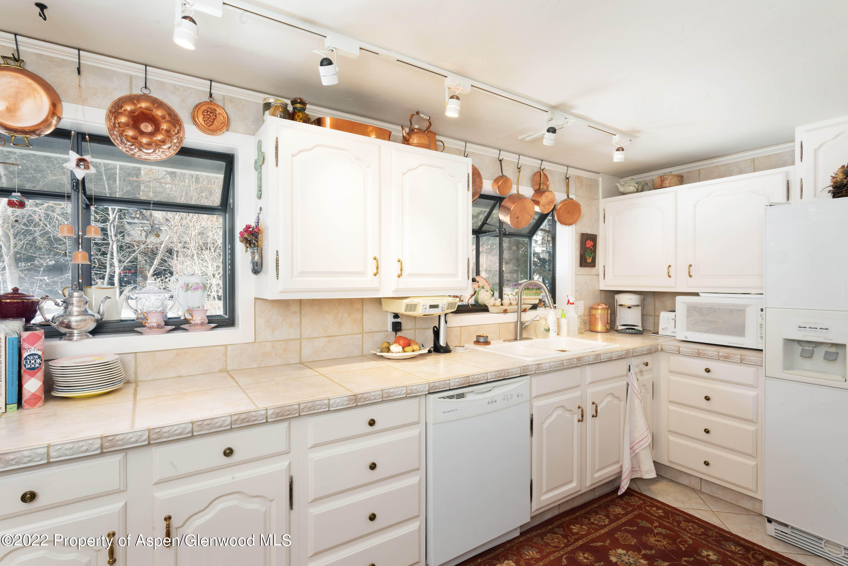 611 Fred Lane Aspen CO 81611