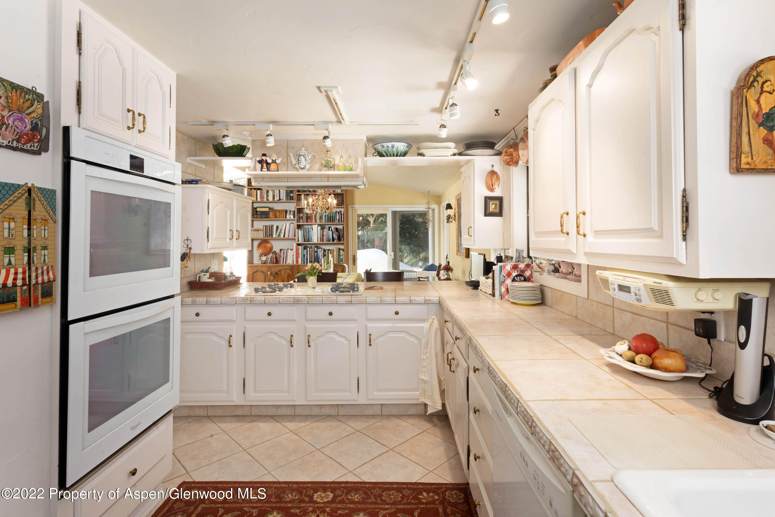 611 Fred Lane Aspen CO 81611