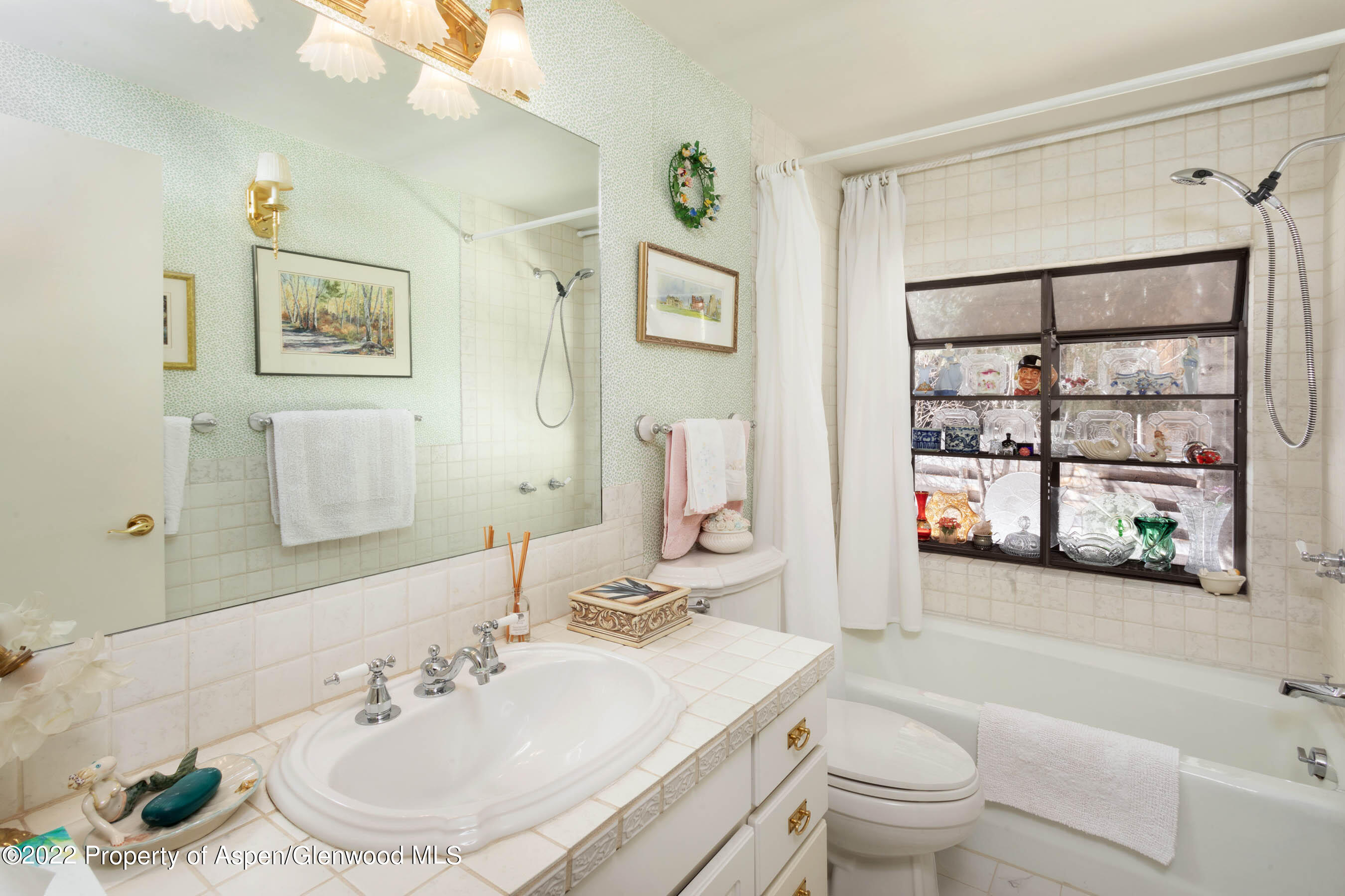 611 Fred Lane Aspen CO 81611
