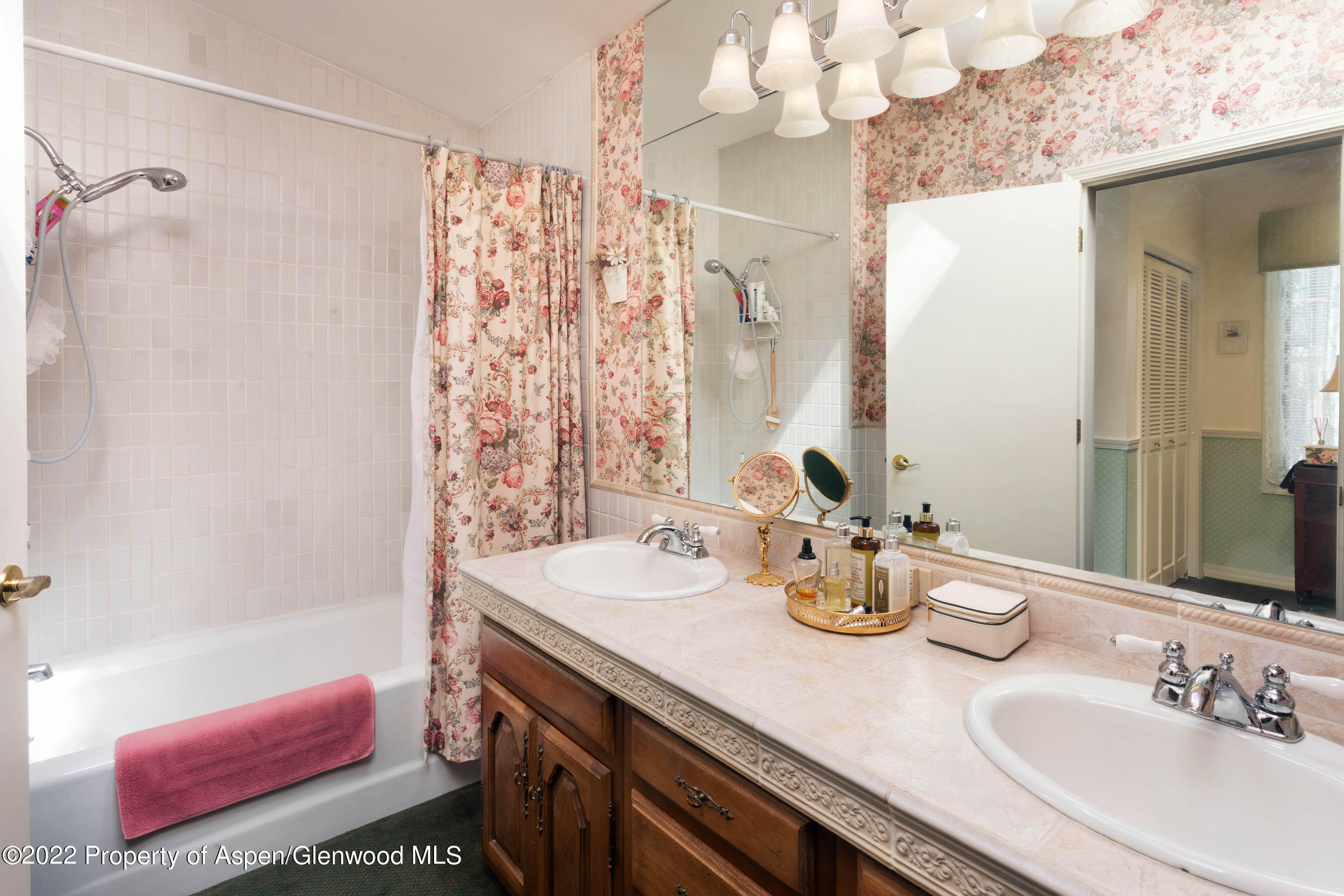 611 Fred Lane Aspen CO 81611